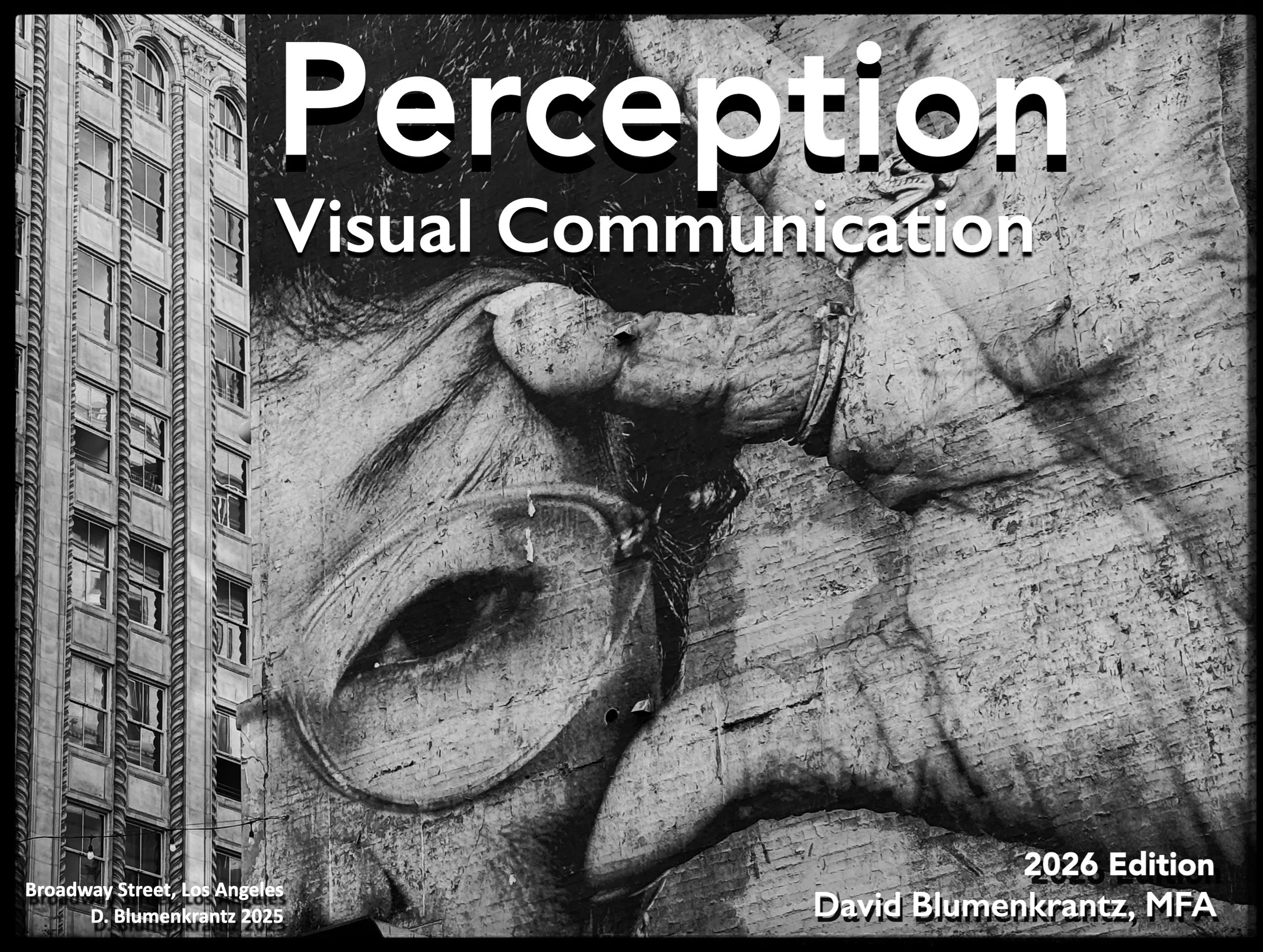 PERCEPTION 2026 COVER.jpg