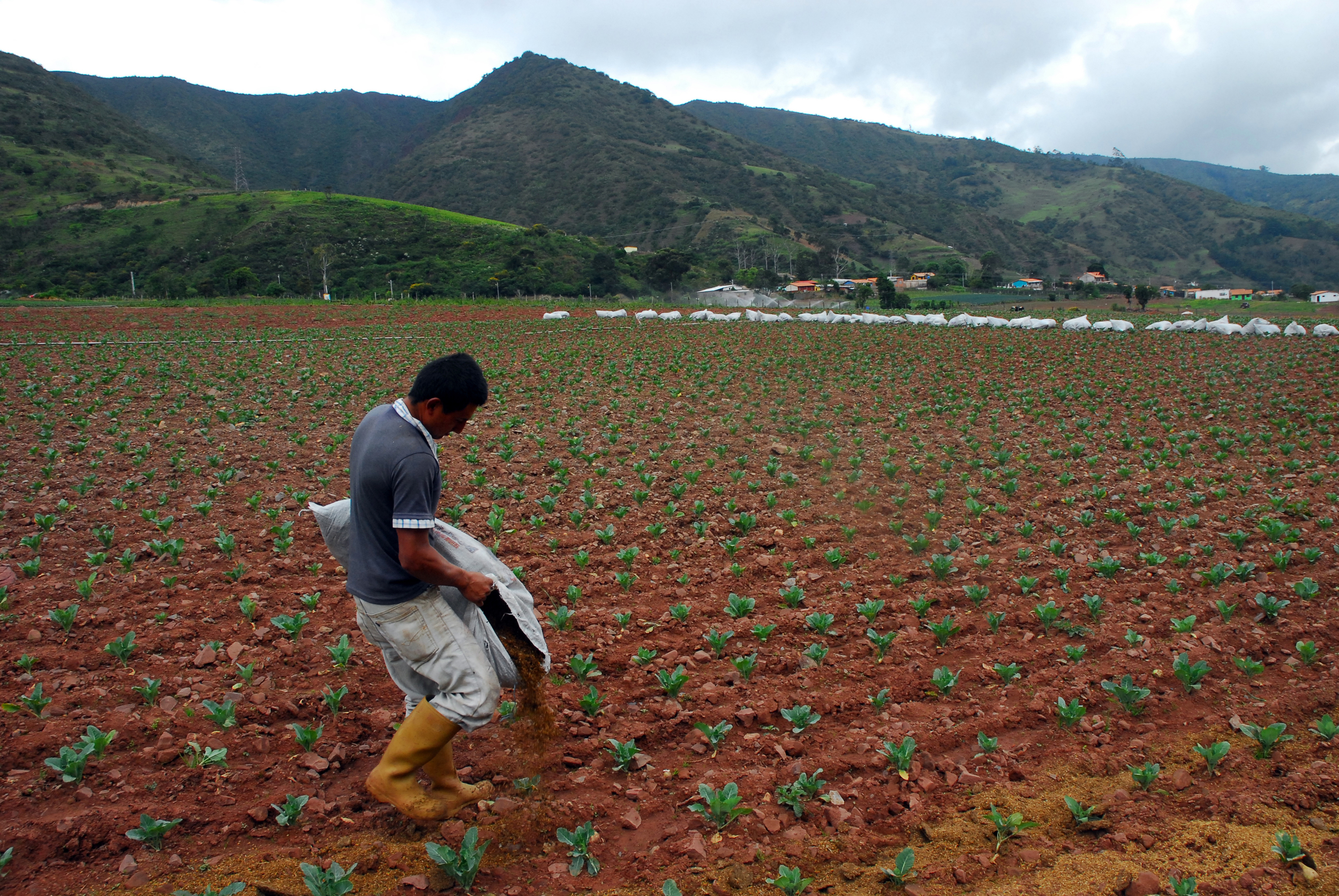 FIELD WORKER8.jpg