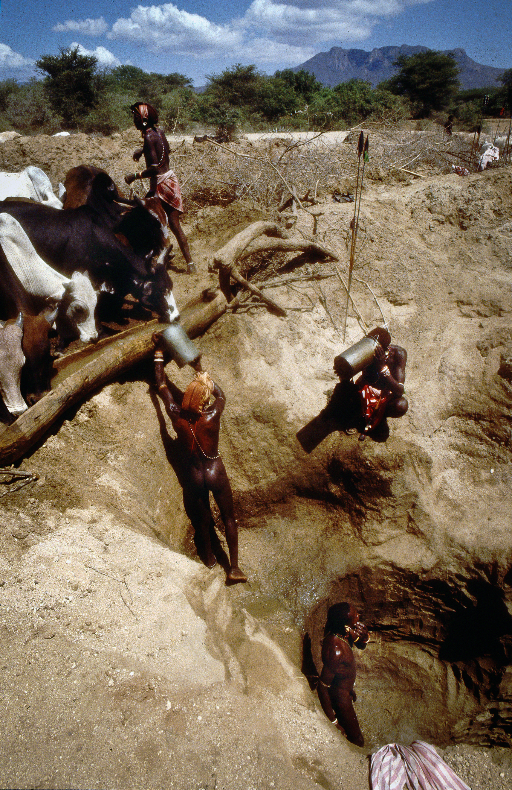 Rendille pastoralists, Marsabit, Kenya