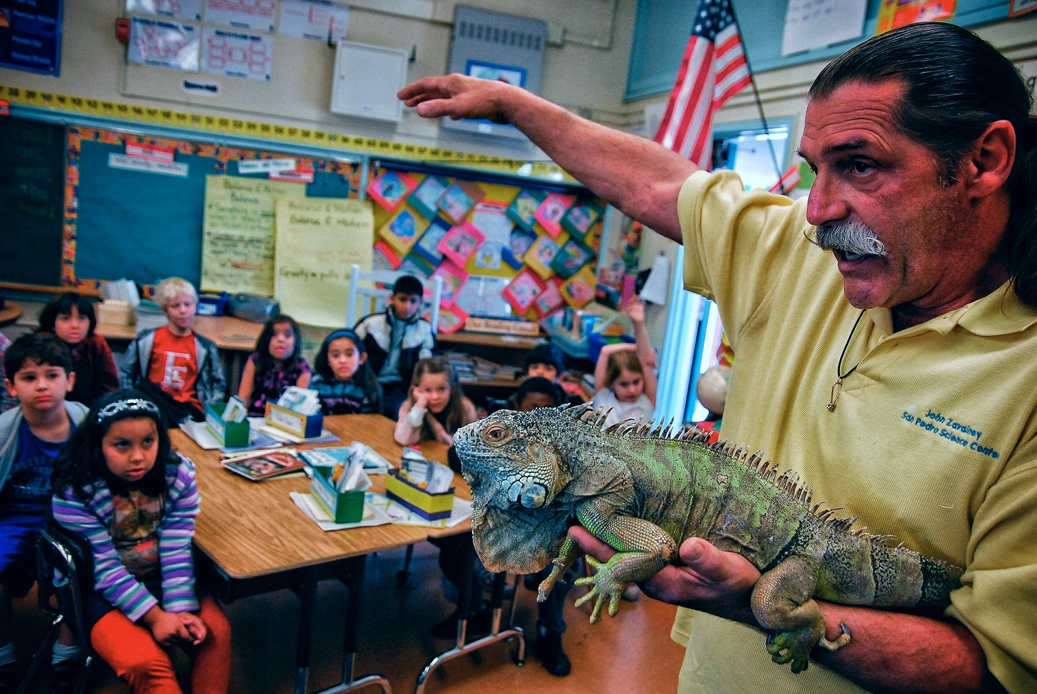 Reptile program I