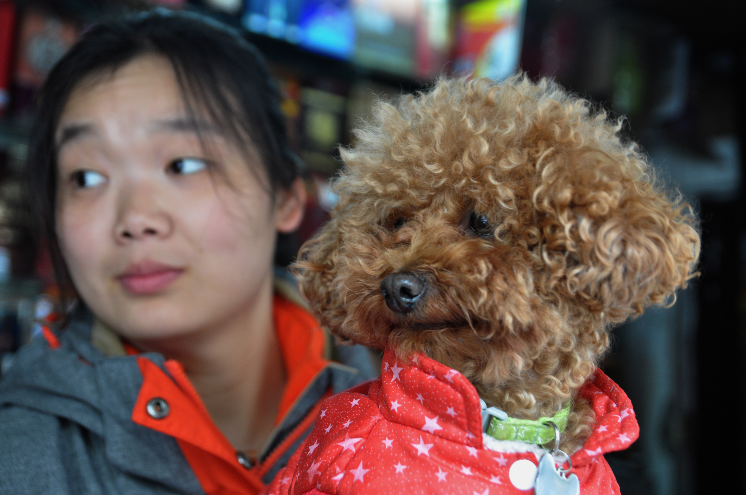  Wuhan shopkeeper, 2015 