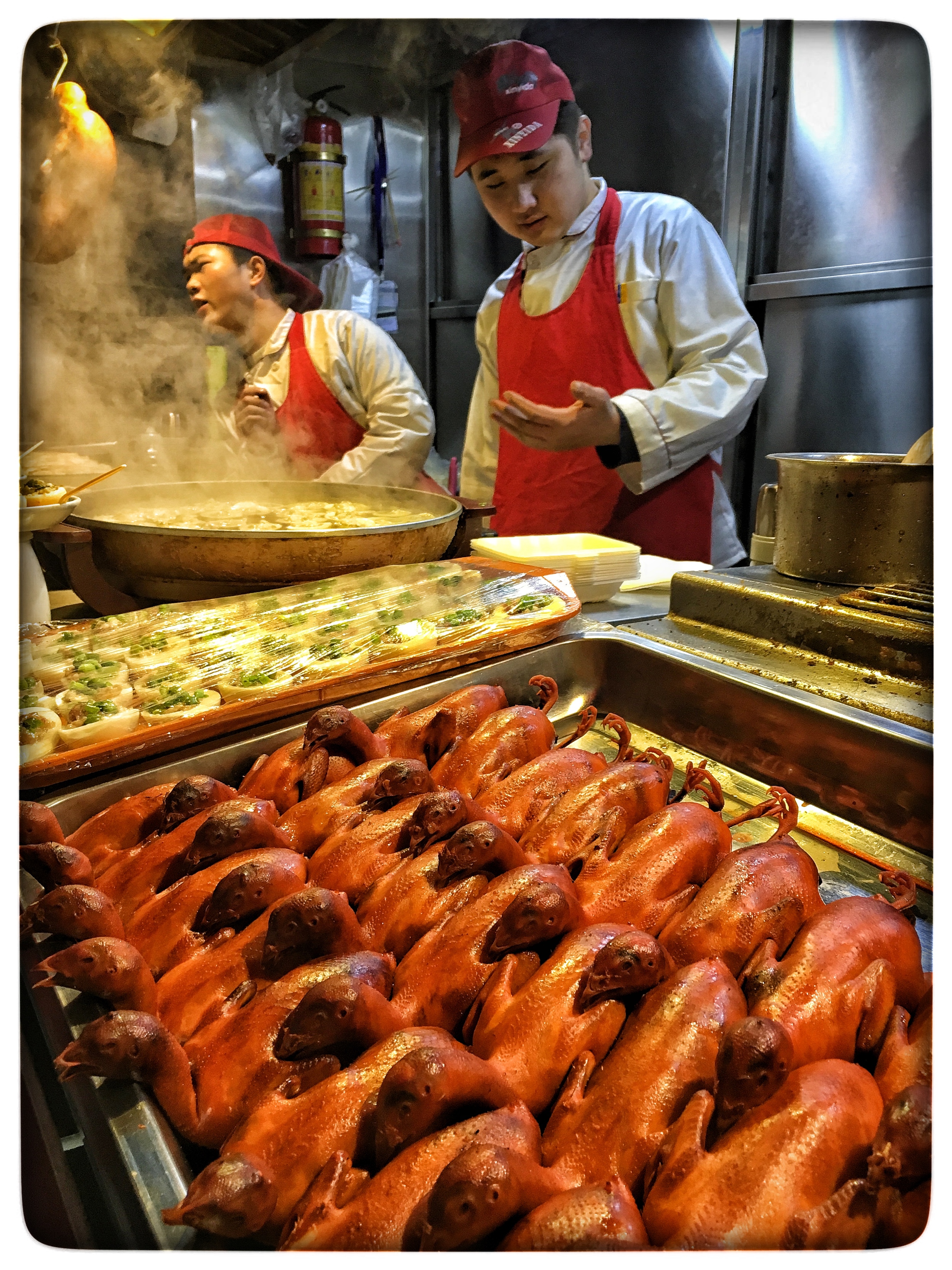  Pigeons, Beijing 