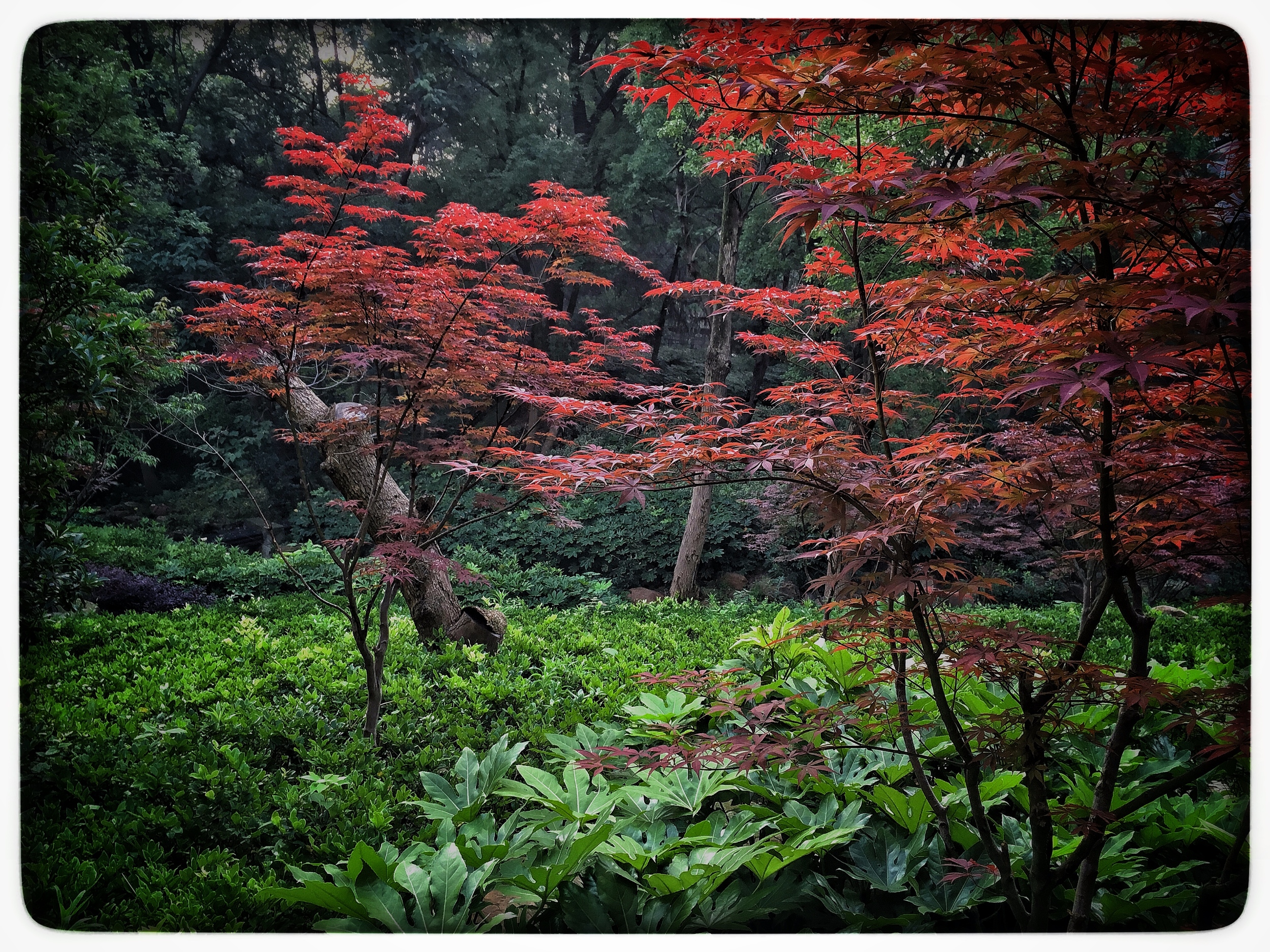  Wuhan University 