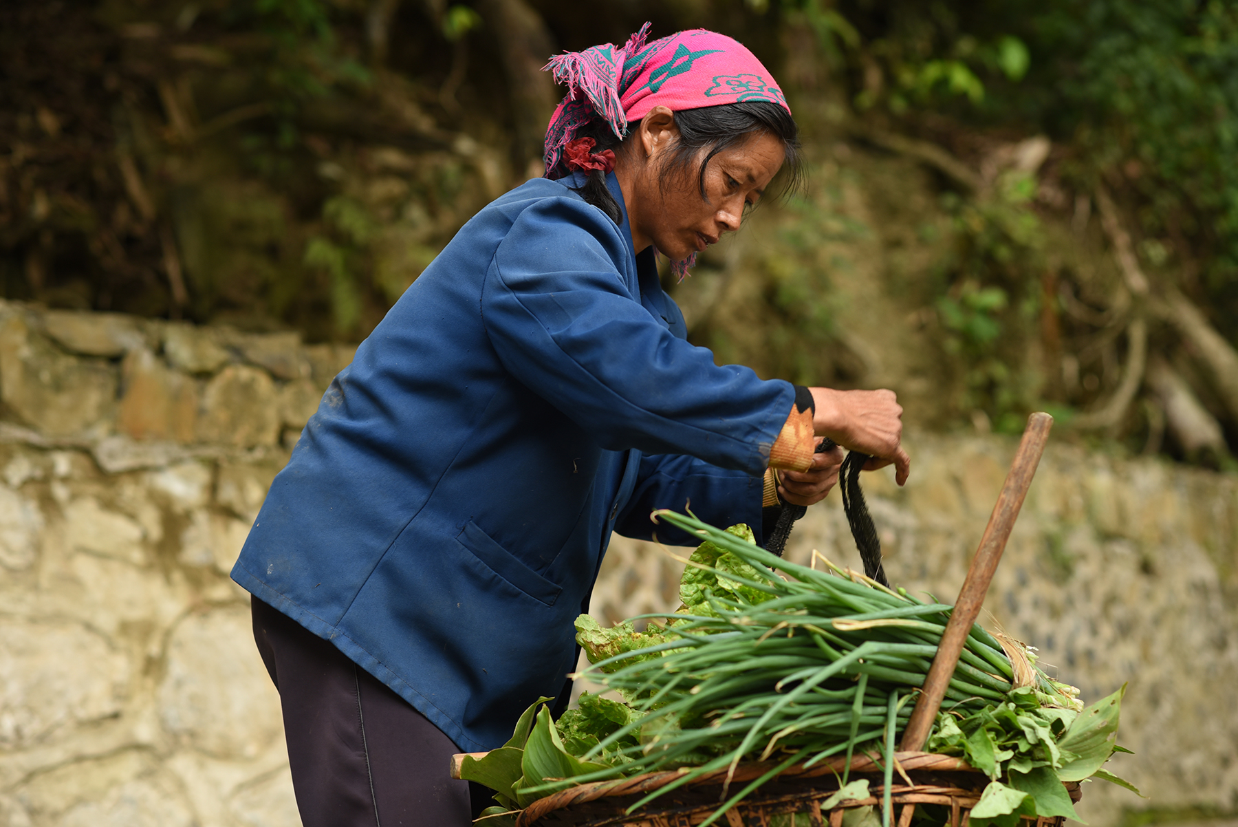  Farmer, Potuo village 2017 