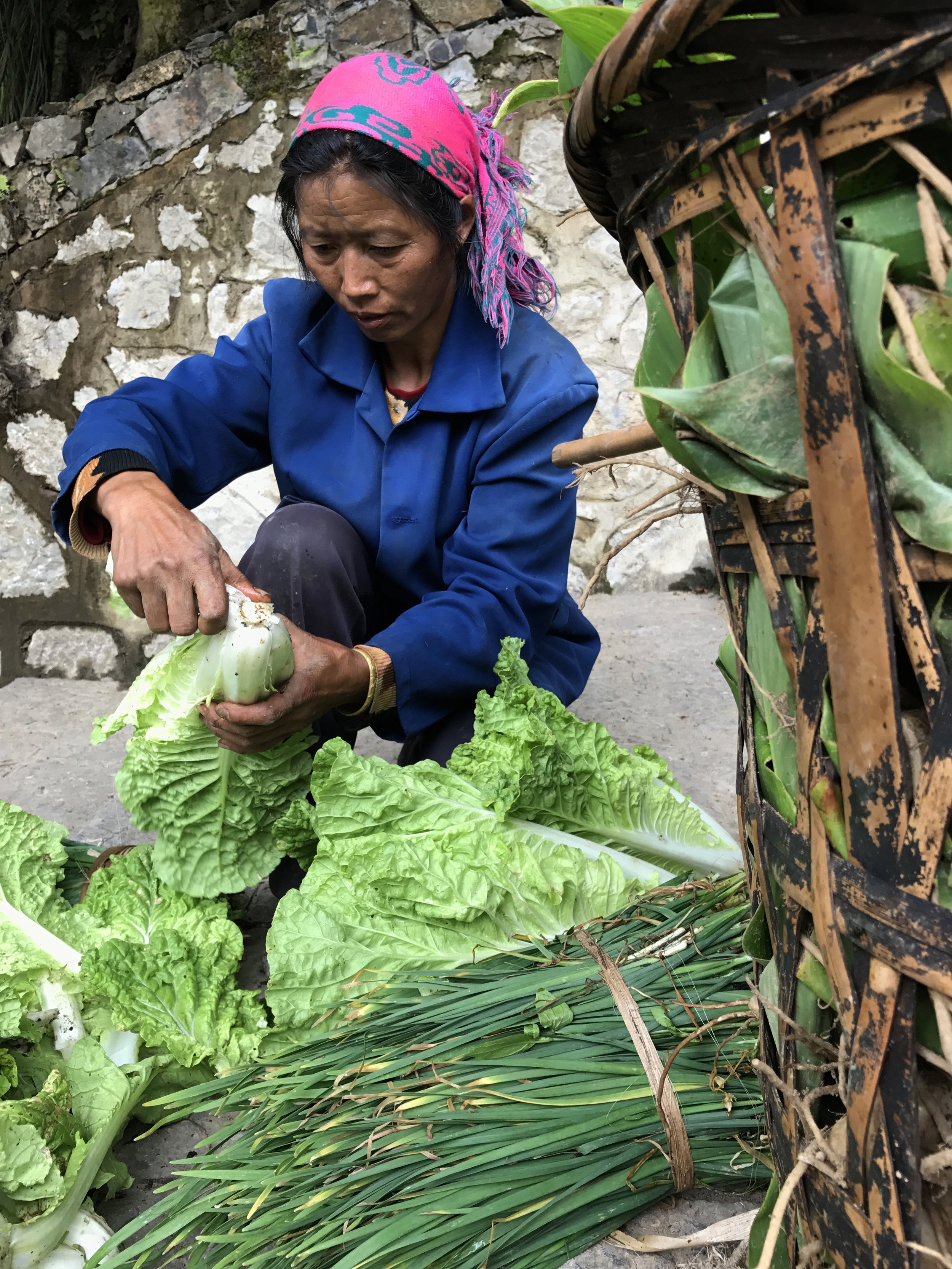 YUNNAN FARMER.jpg