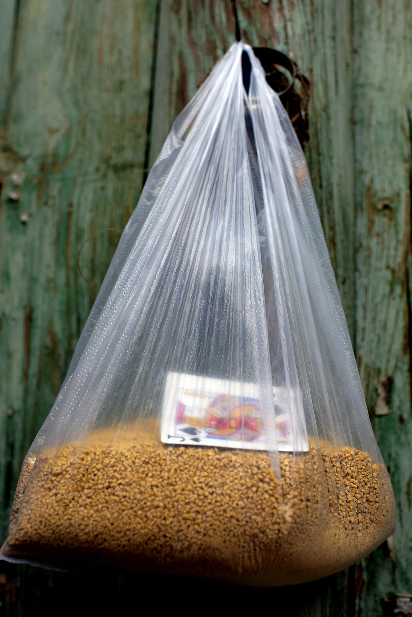 Birdseed