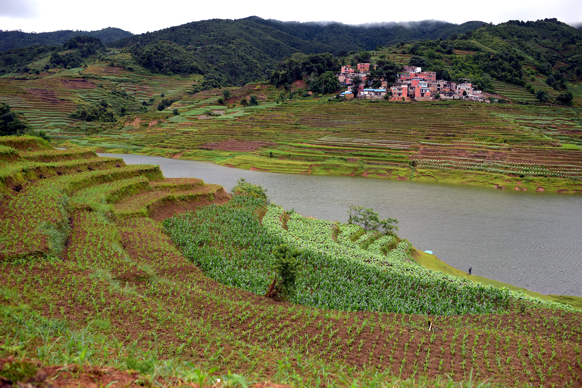  Terraced farmlands of Yunnan 