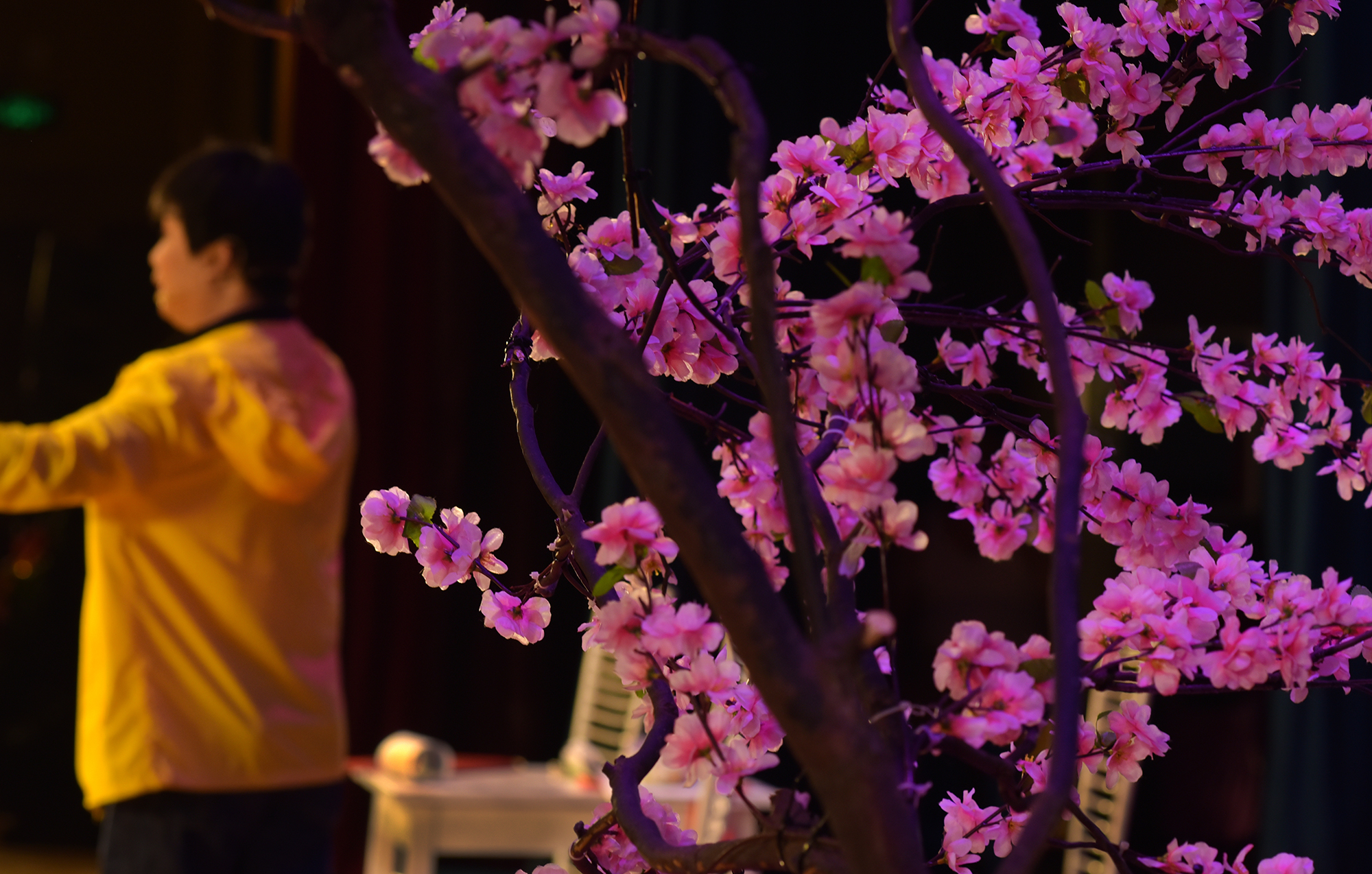  Modern Peking Opera, Jingzhou 2018 