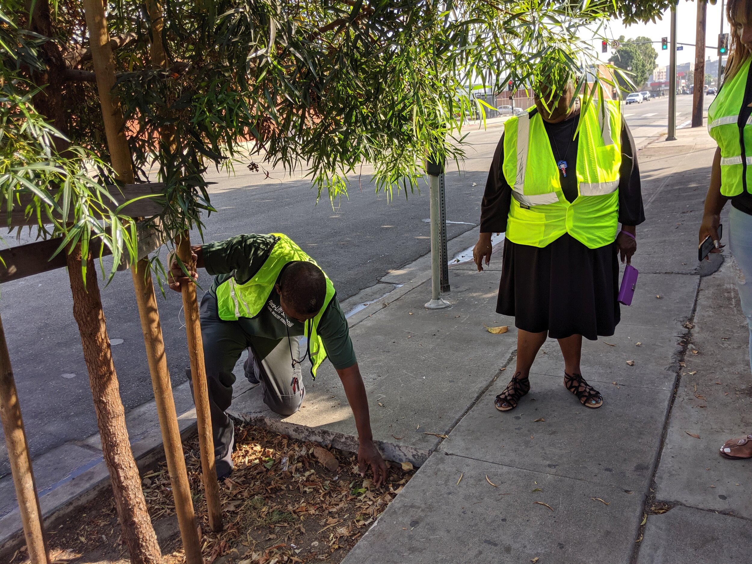 STREET TREE TEAM.jpg