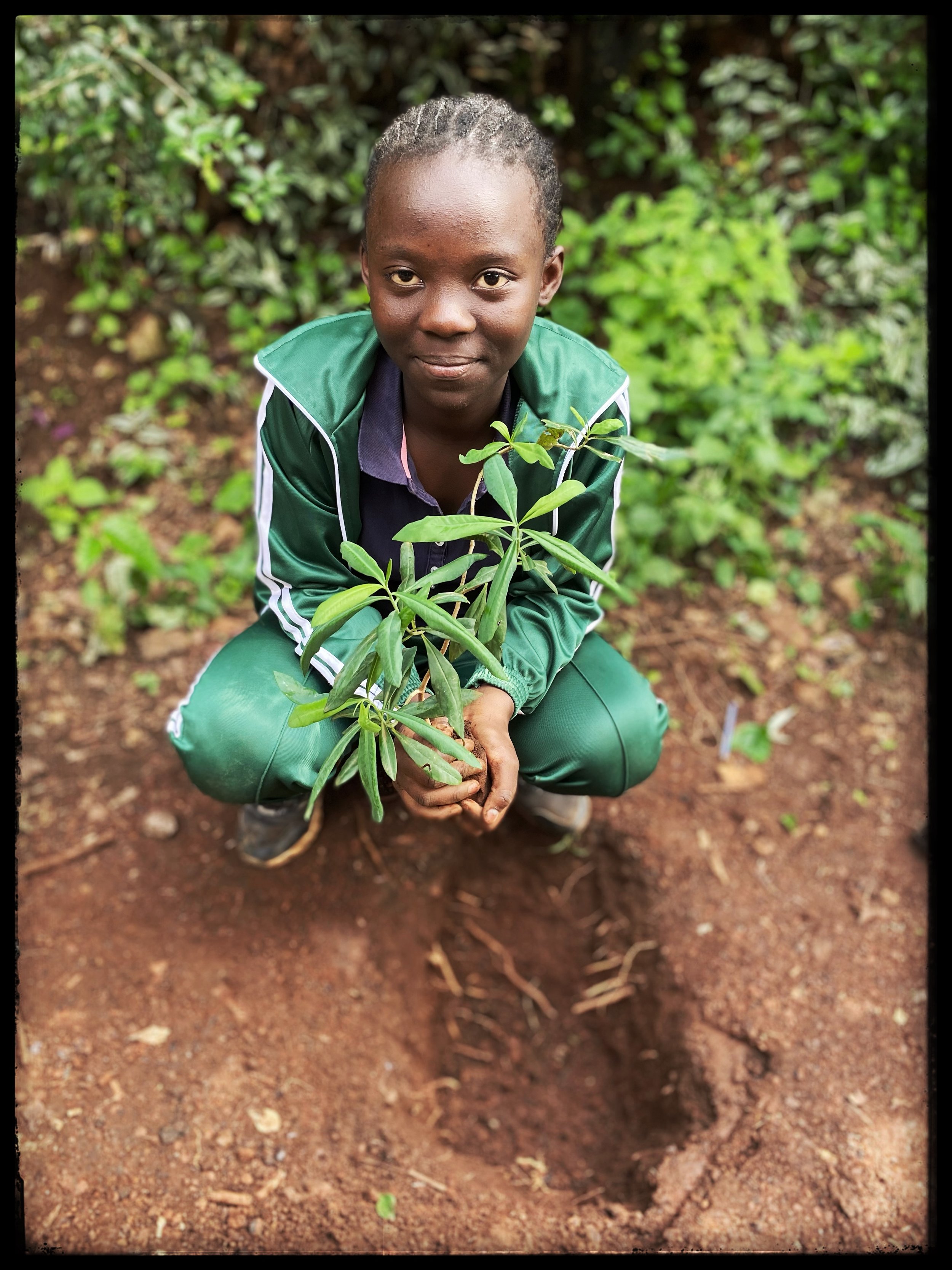  Tree planting, Kawangware Primary  