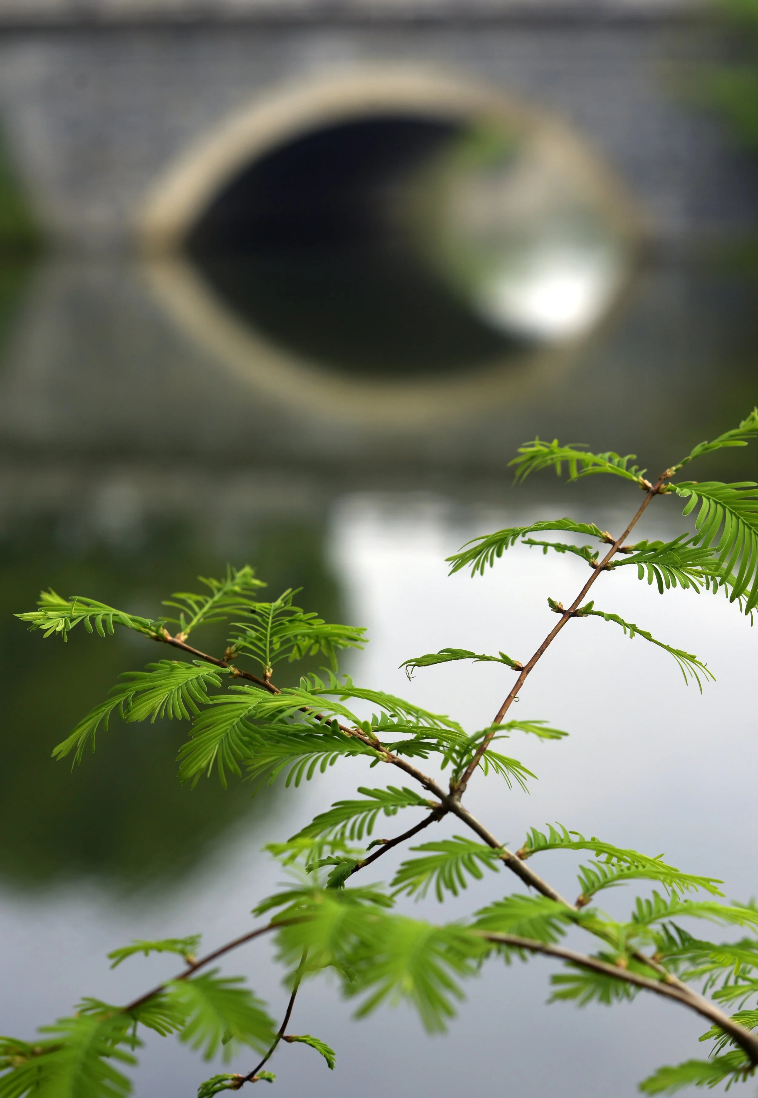  Nanchang 