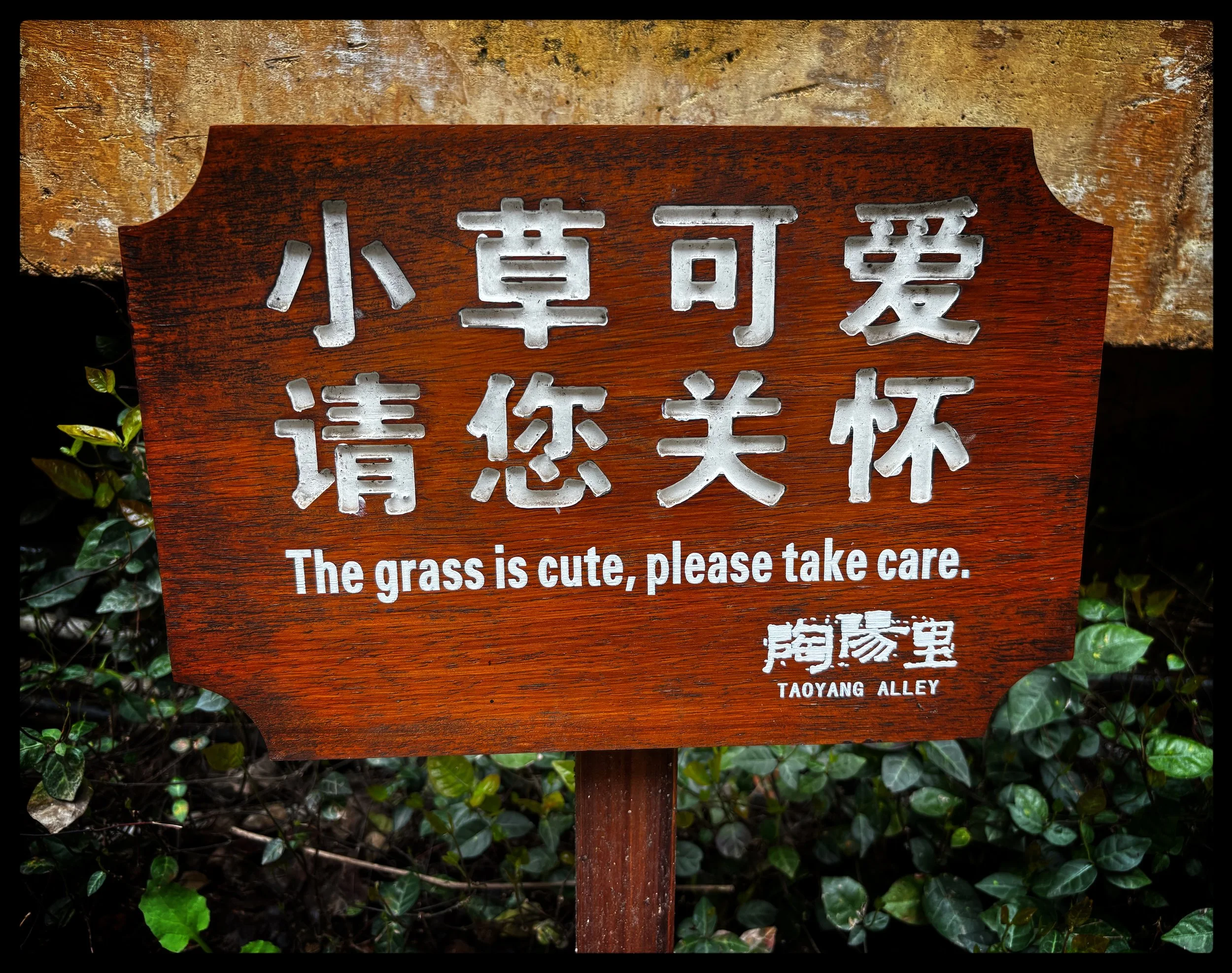  JIngdezhen sign 