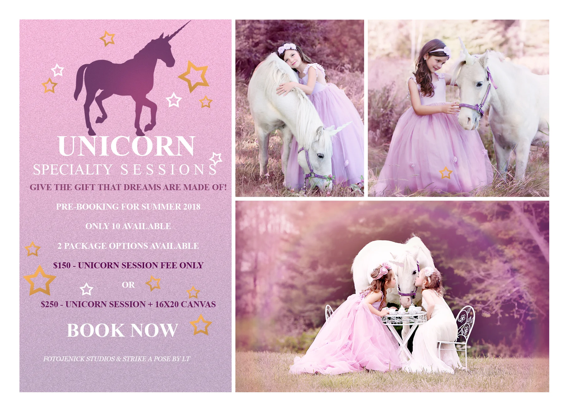 UnicornMinisMarketingBoard-5x7.jpg