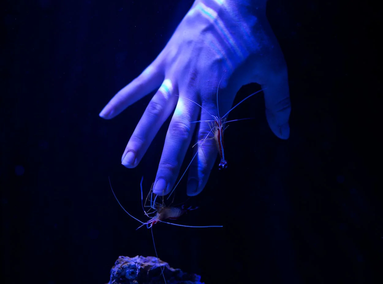 Science and Natural History
