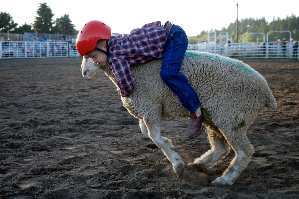 21_ph.colcountyfair_13U0524.jpg