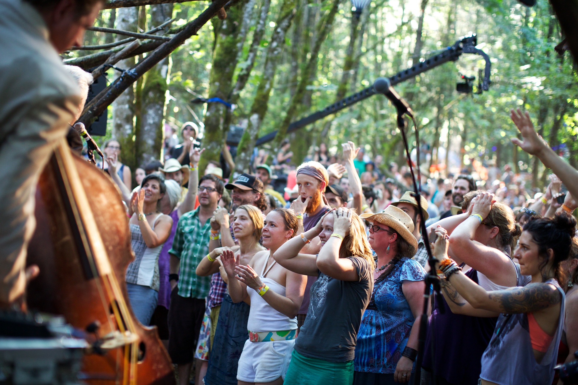 ph.pickathon_tb_D3A7736.jpg