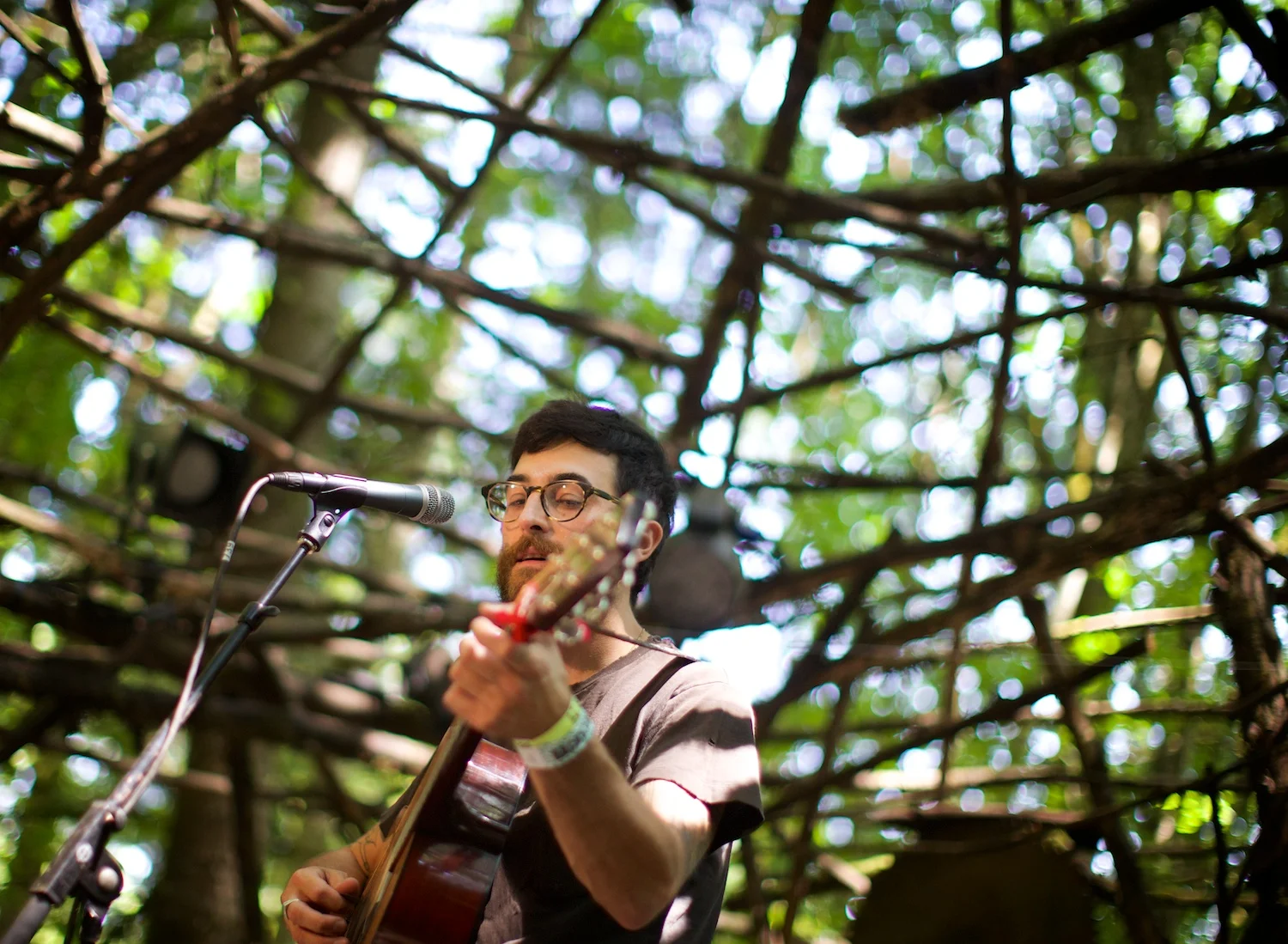 01_pickathon_TB_0508.jpg