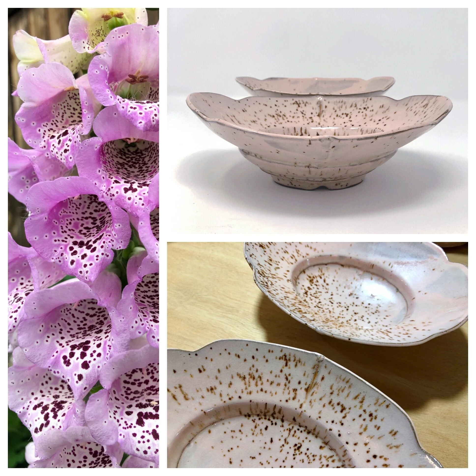 foxglove bowls 2019