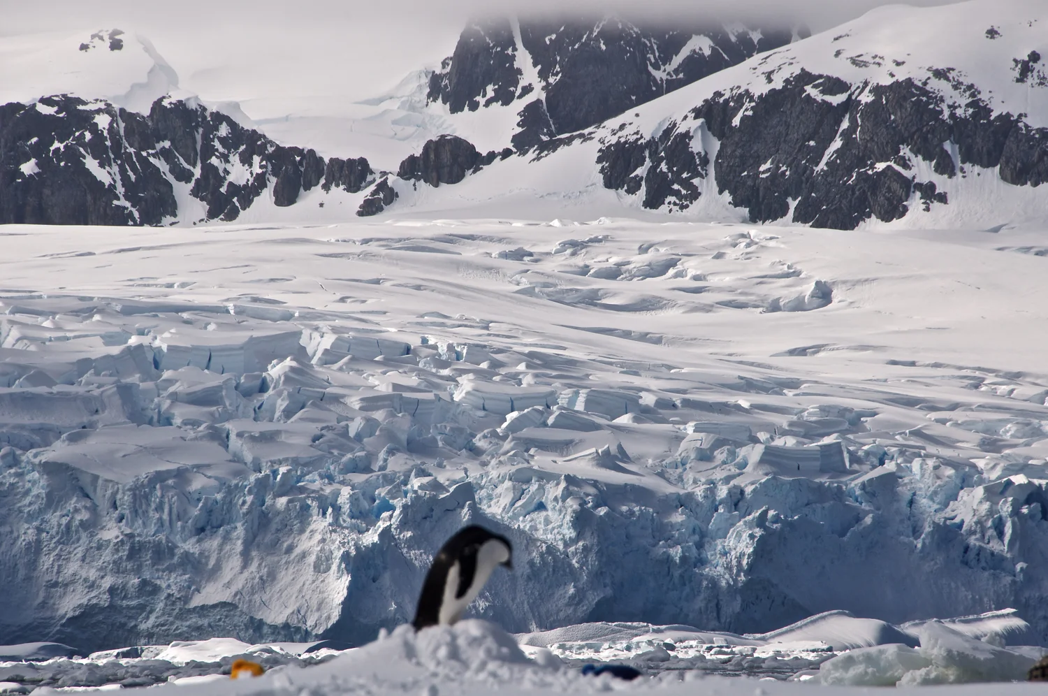 Why Antarctica?