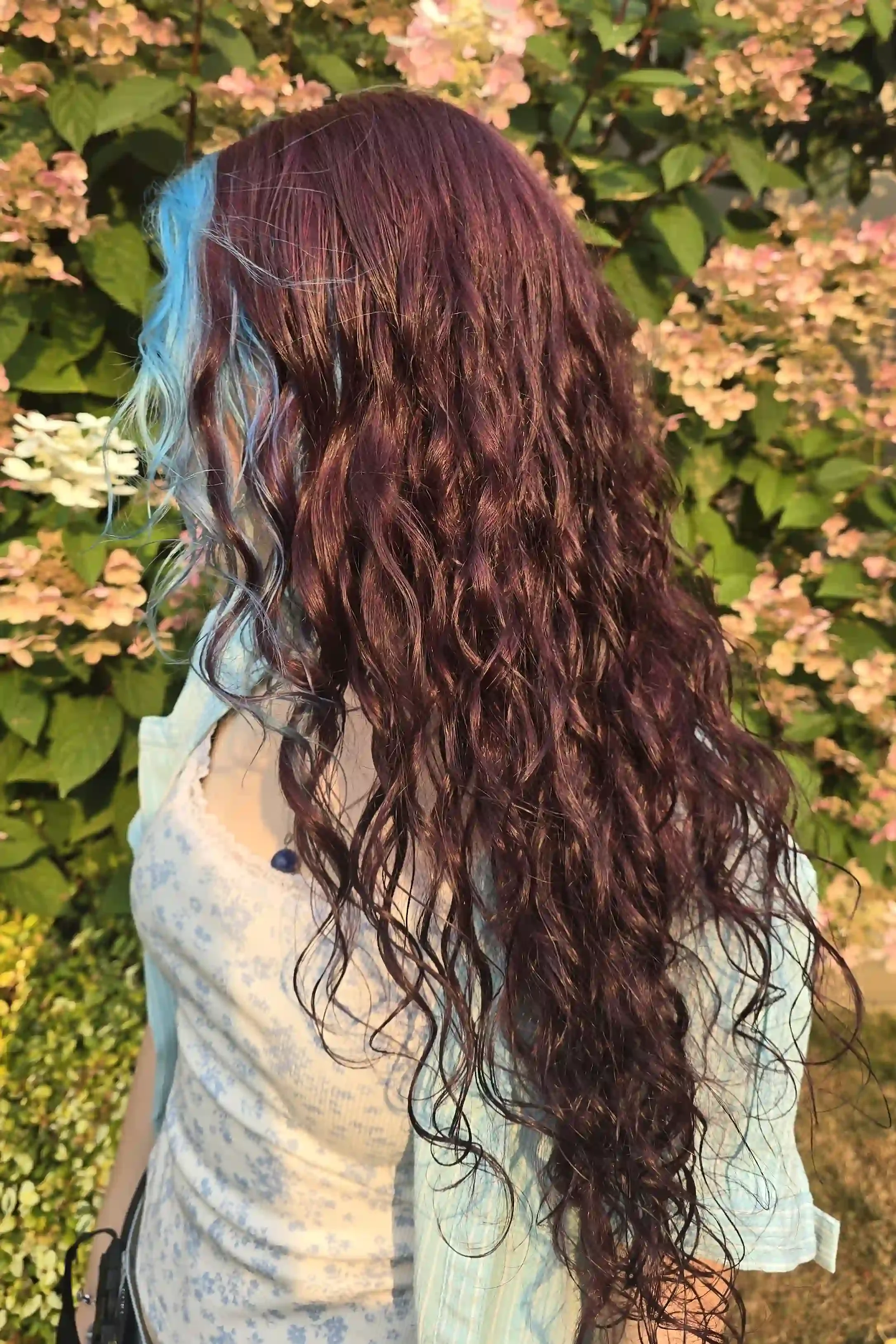 Long curly hair with vivid burgundy color and a bright teal face-framing section, styled by Jhana at Chroma Salon Edmonds.