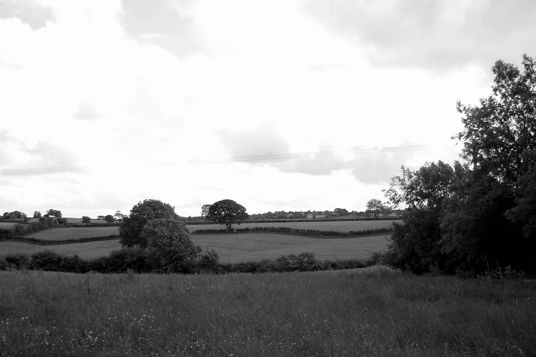 view from site (1).jpg
