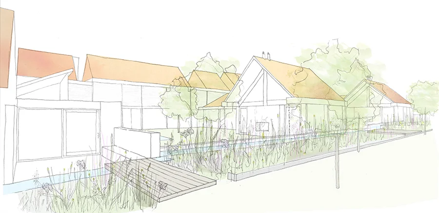 reed beds.jpg