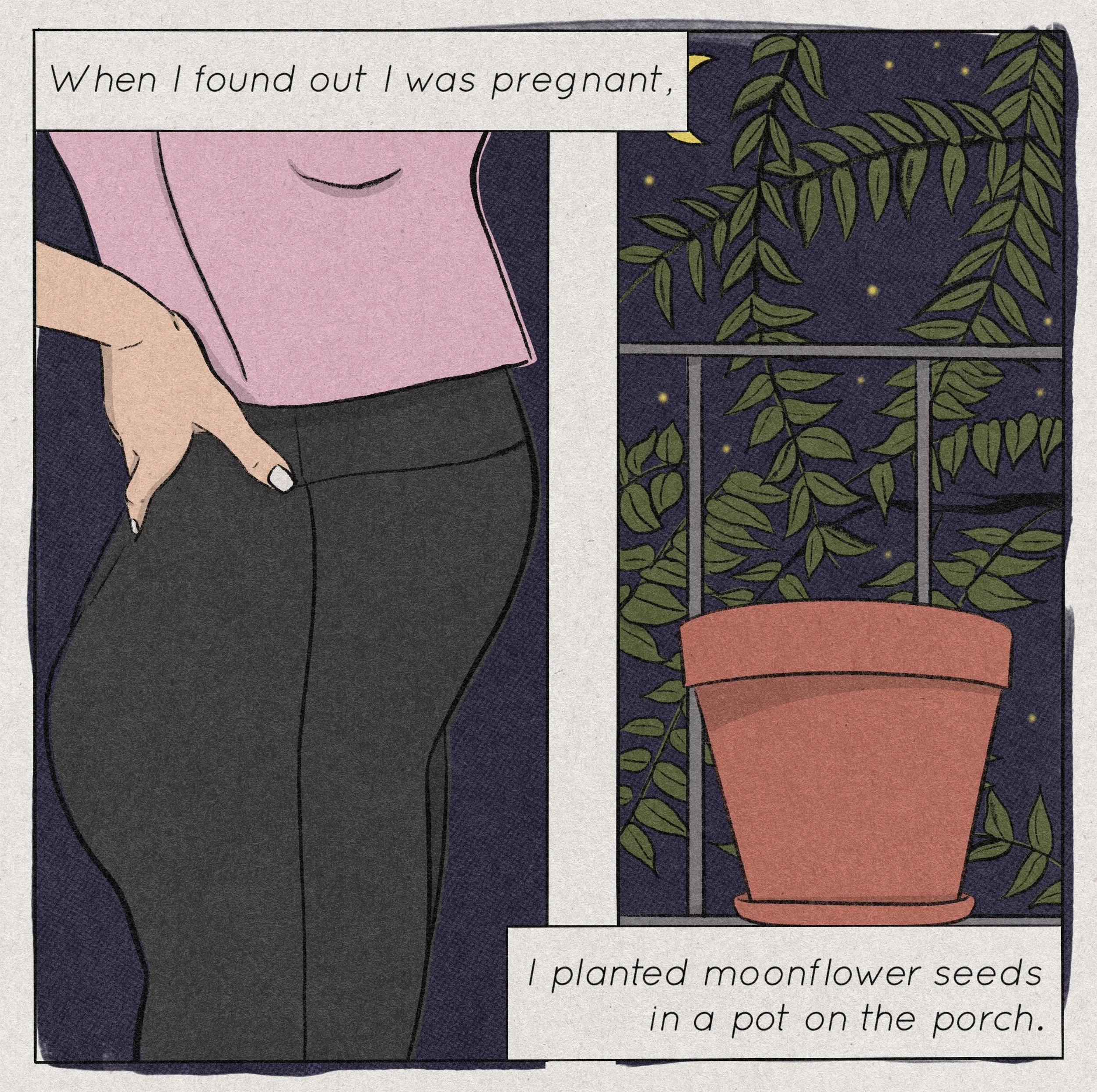 "Why I love Moonflowers"