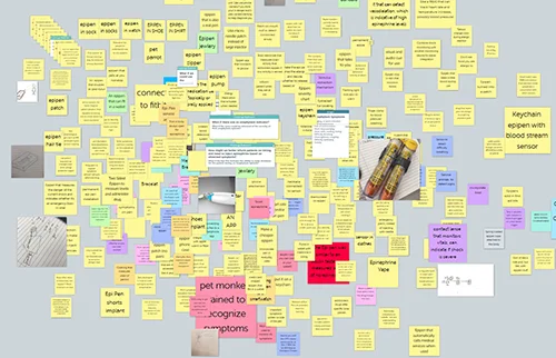 EpiPen Ideation Results