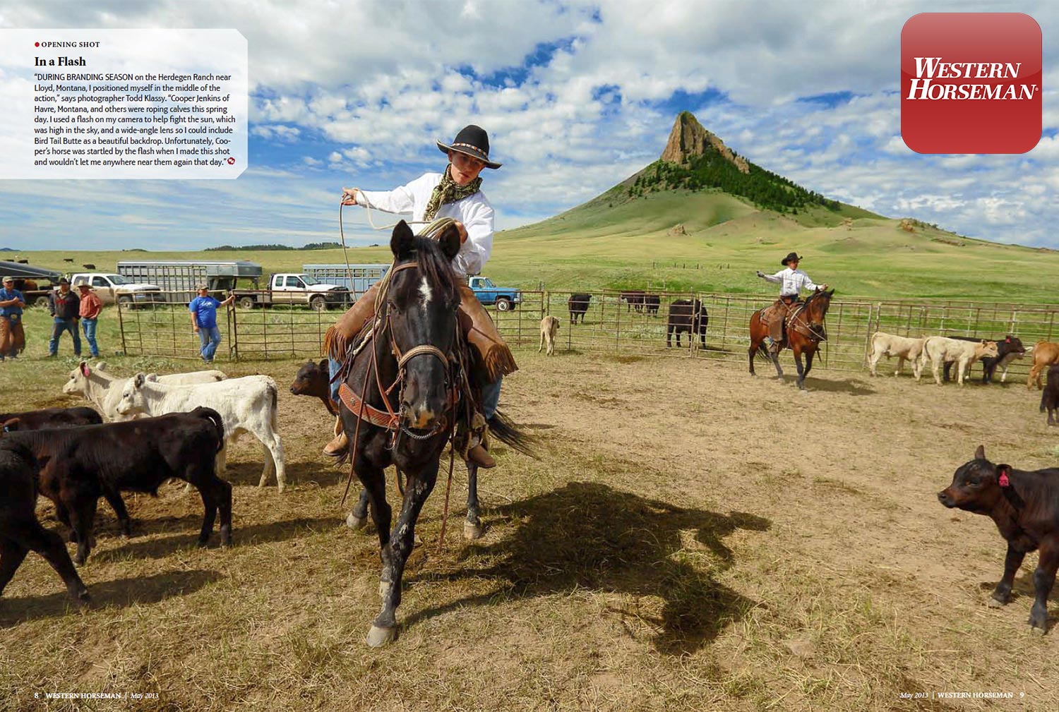 My photo of a young cowboy roping cattle in the corral near Lloyd, Montana is featured as a two-page spread in Western Horseman magazine.&nbsp;→ License Photo