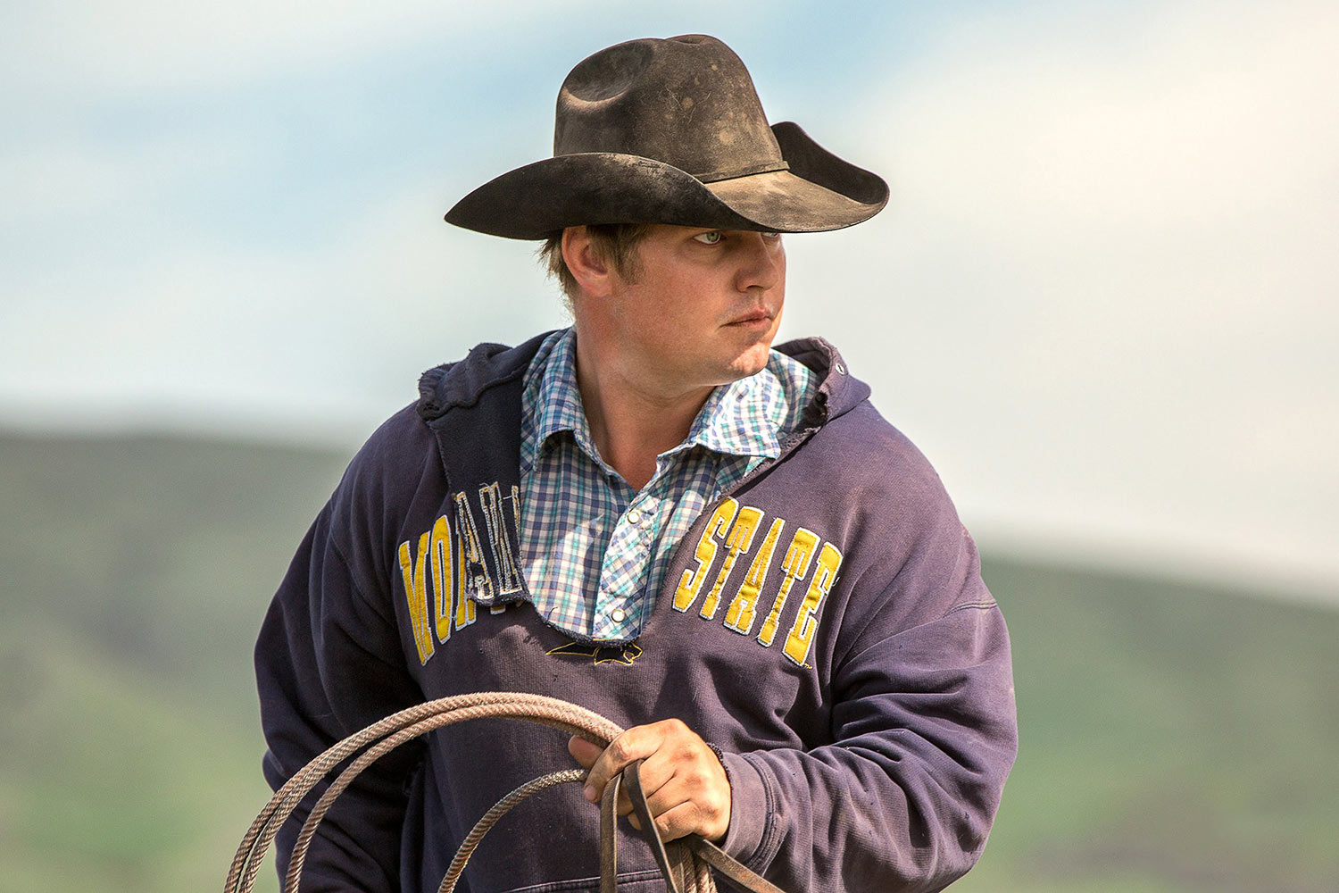 A cowboy wearing a torn Montana State University sweatshirts ropes cattle on a ranch near Cleveland, Montana.&nbsp;→ License Photo