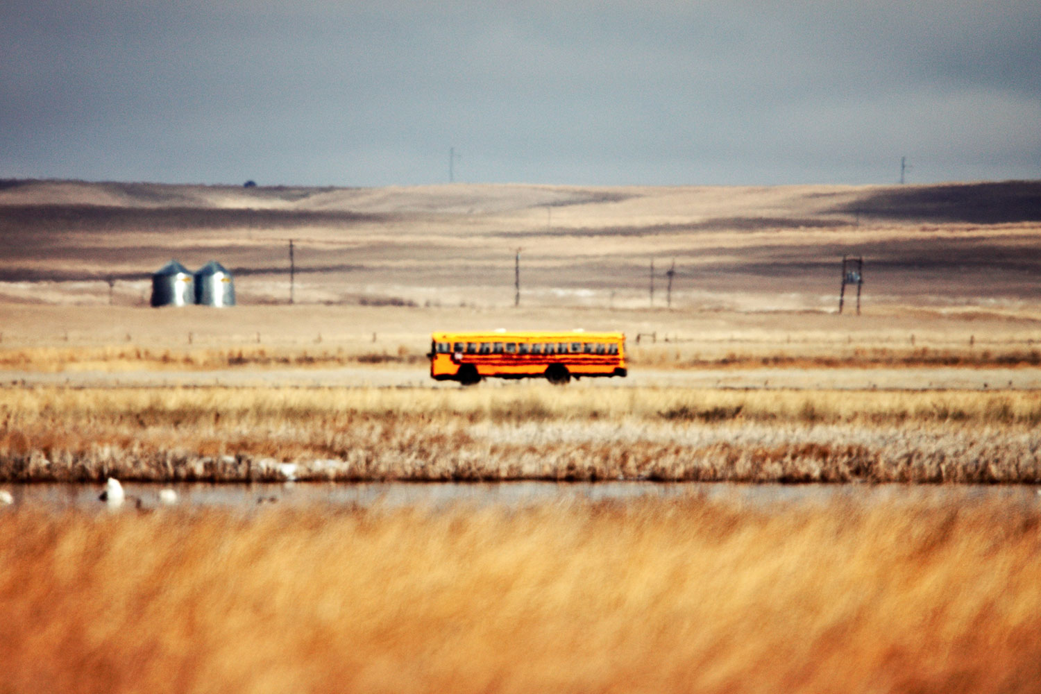 A school bus races down the highway early in the morning outside of Fairfield, Montana. → Buy a Print