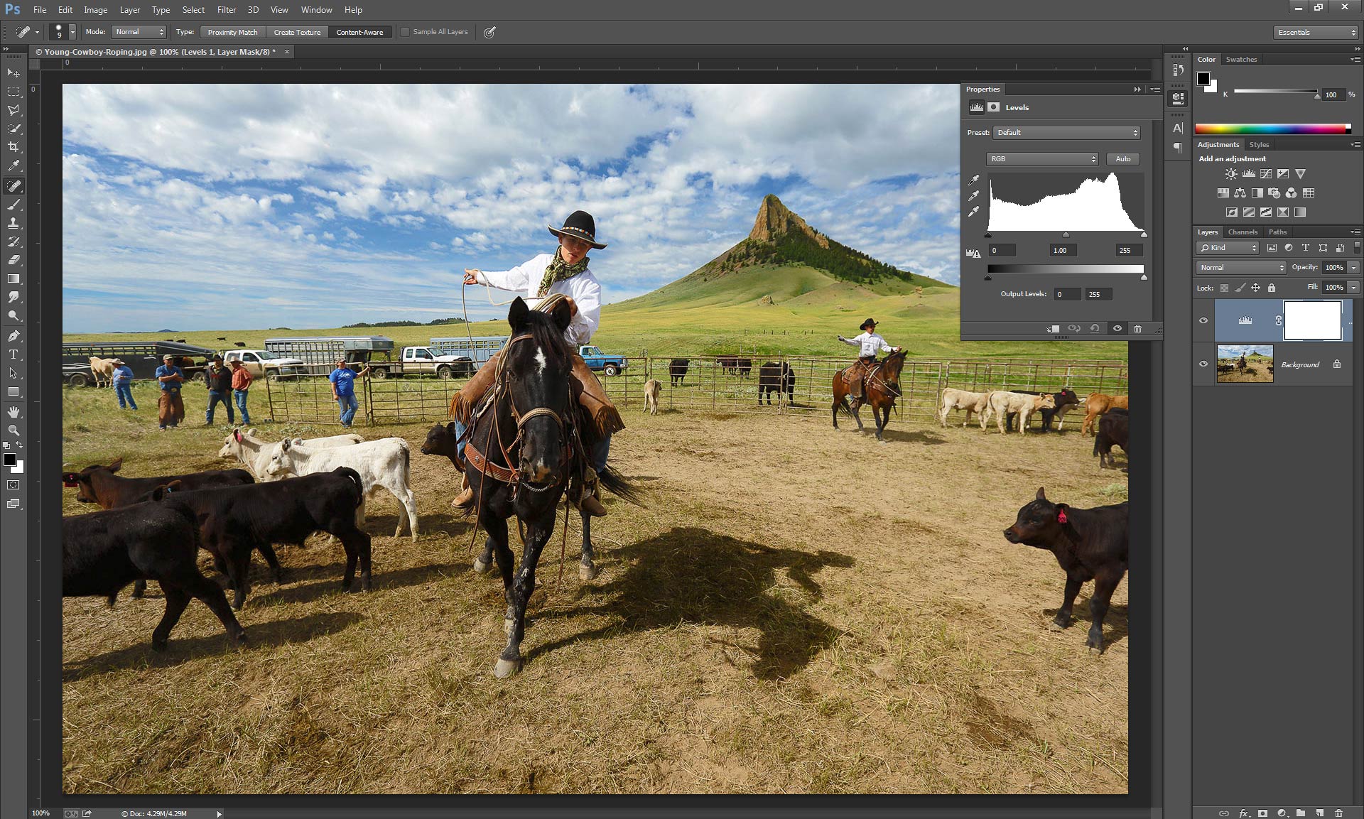 Screen shot of editing the photograph "Roping Away" in Photoshop CC with a levels adjustment layer.