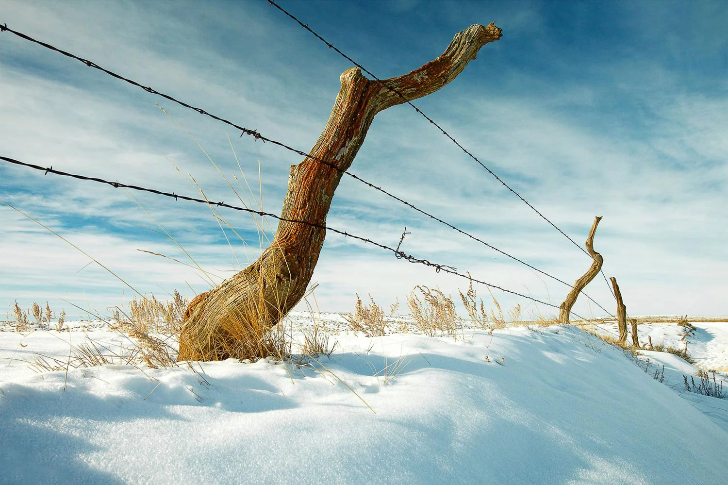 My photo of a row of old, crooked fence posts in rural Montana is used on the set of NCIS: Los Angeles. → Buy a Print