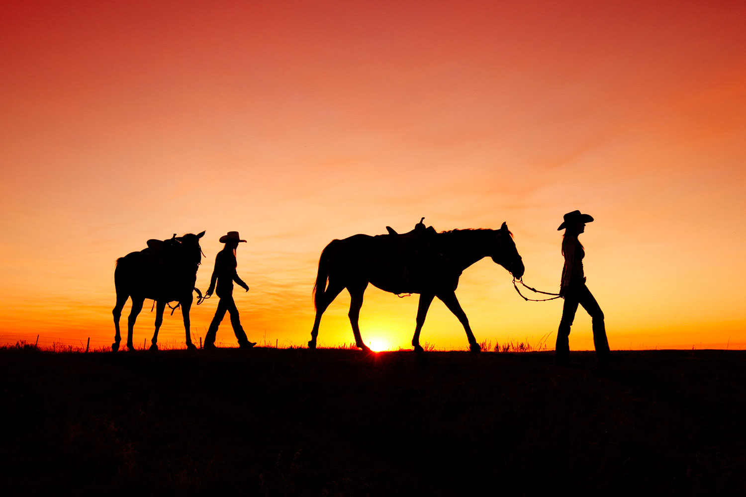 Montana cowgirls leading their horses off to the barn.&nbsp;→ Buy a Print