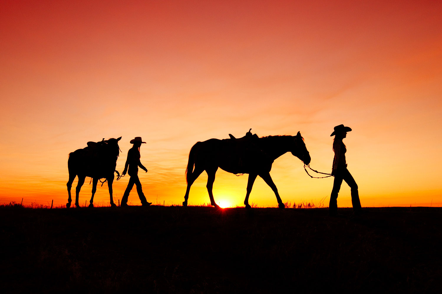 Montana cowgirls leading their horses off to the barn. → Buy a Print