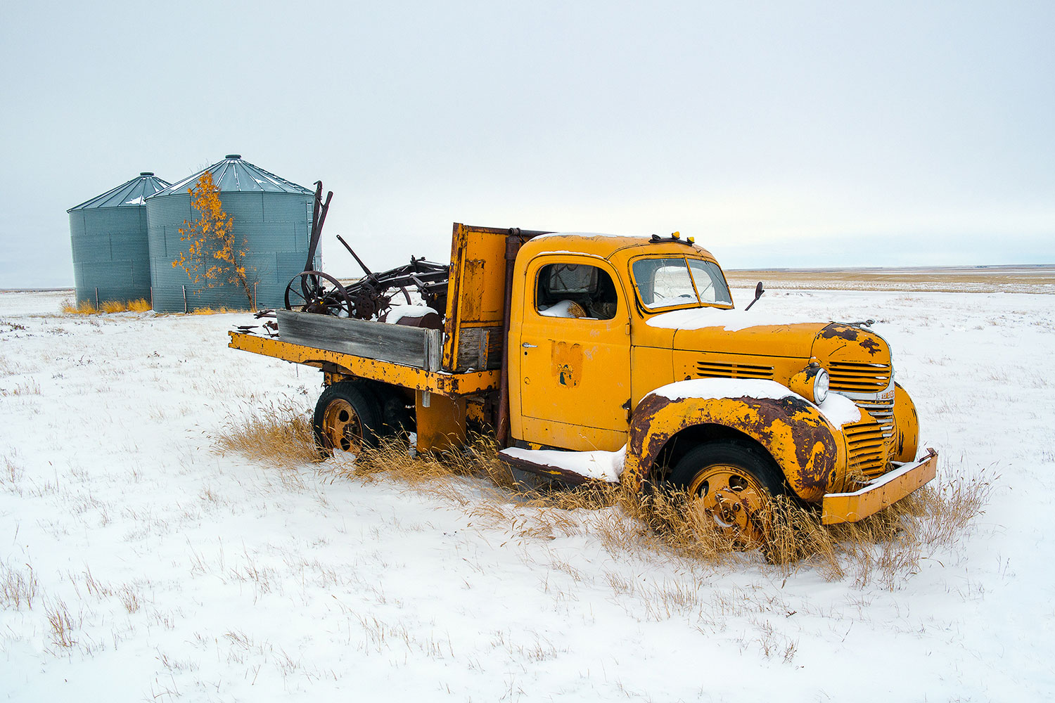An old yellow Dodge pick-up truck sits alone in a cold, open field near Inverness, Montana. → Buy a Print