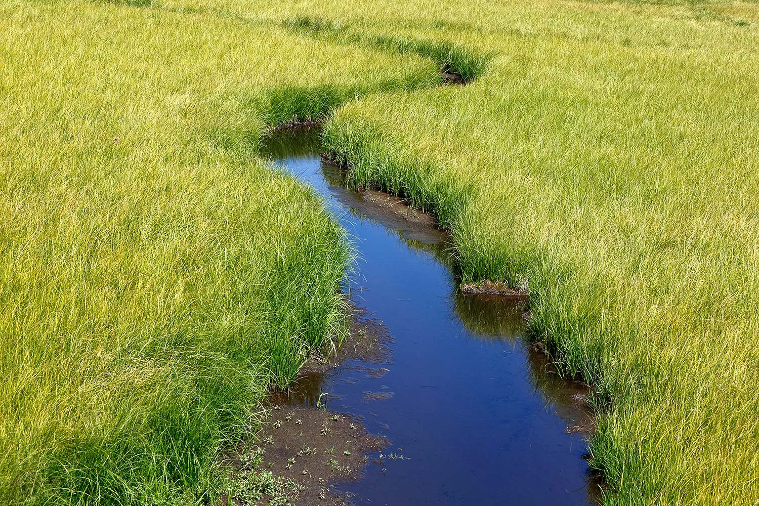 This is a creek. Most people call it a creek. Some in Montana might call it a stream or a brook. But if they do call it a creek they are likely to phonetically pronounce it "crick" instead of "creek."