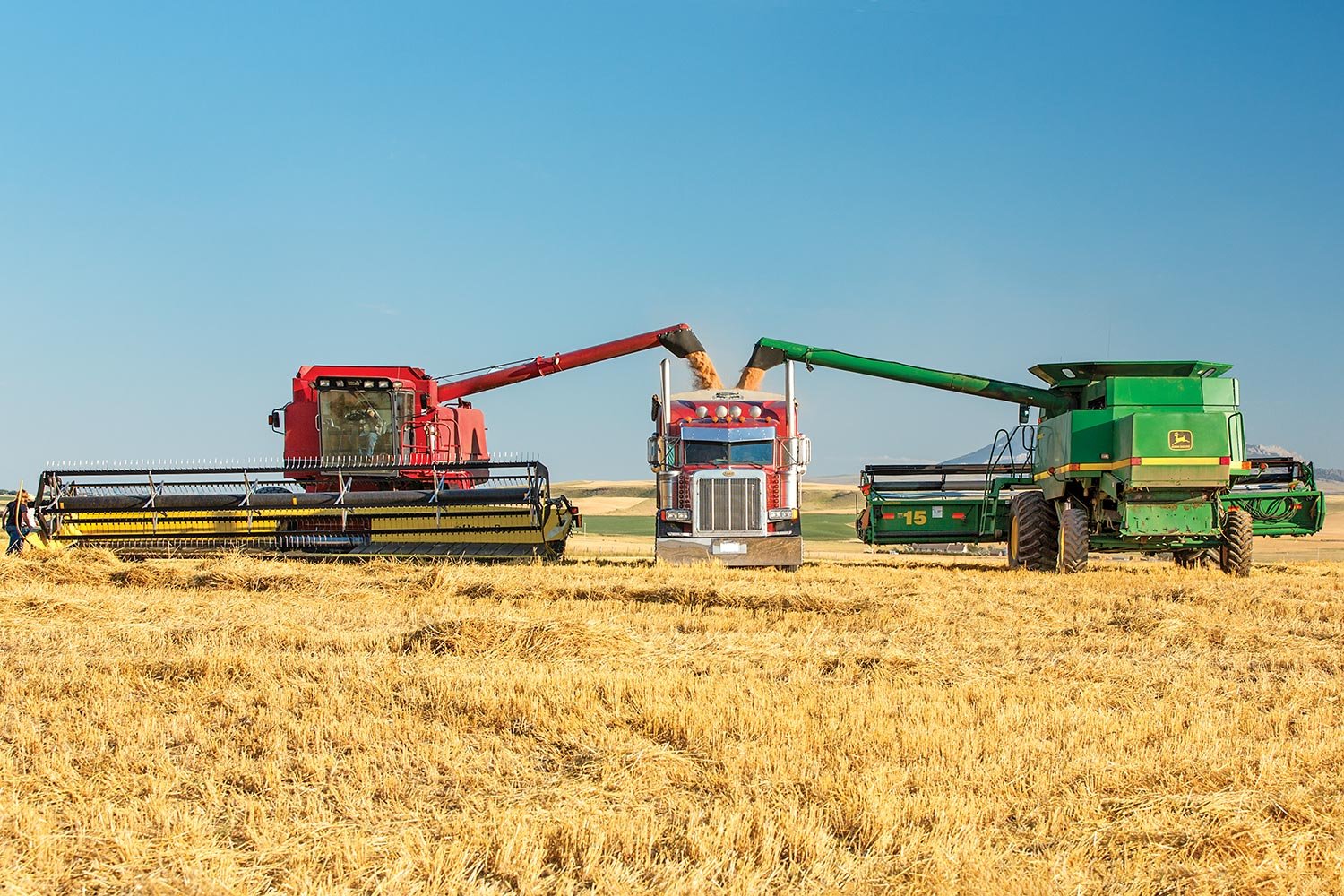 Case IH and John Deere Combines Working Together Unloading Wheat in Montana.