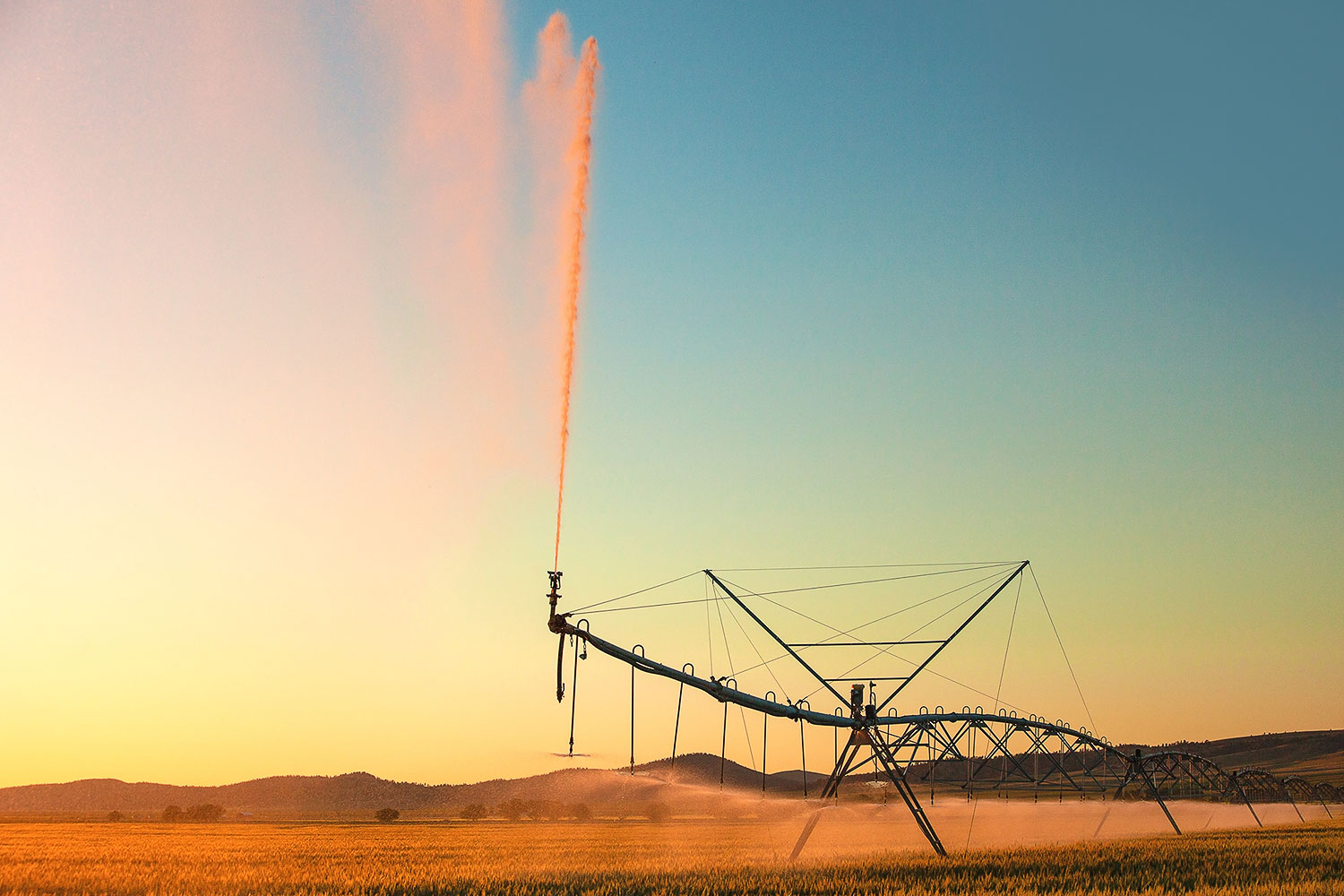 A center pivot irrigation apparatus spraying water on a field of wheat is painted a beautiful hue in the late afternoon light outside of White Sulphur Springs, Montana. → Buy a Print