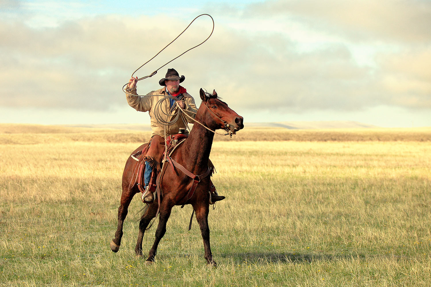 Roping on the High Plains