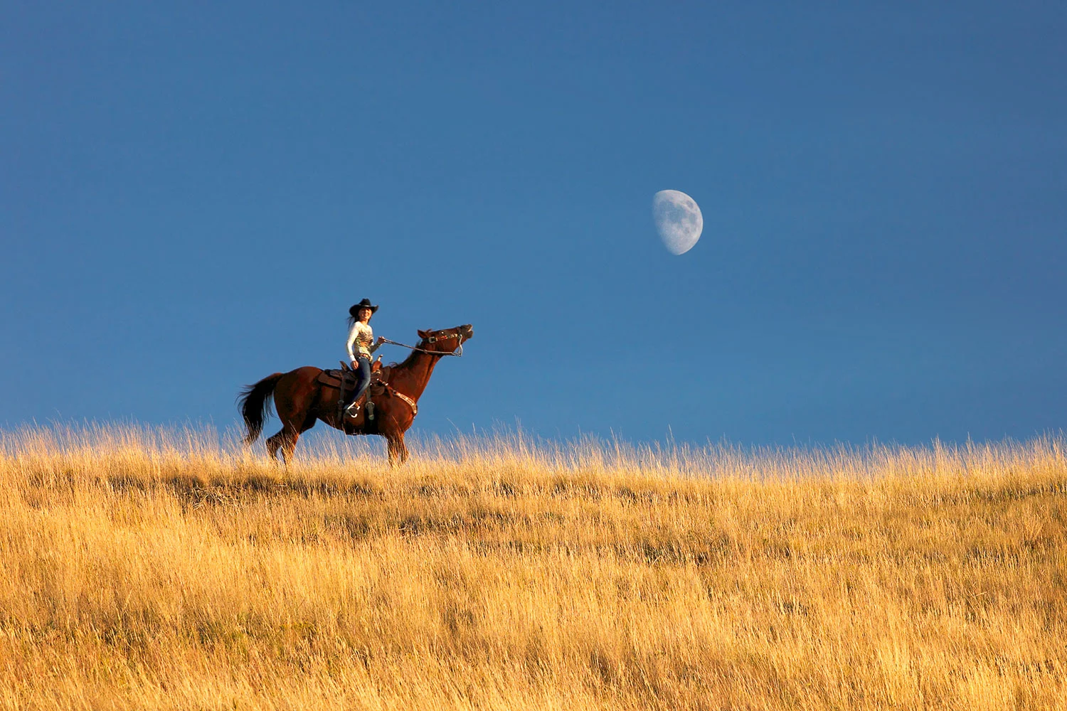 Call of the Moon