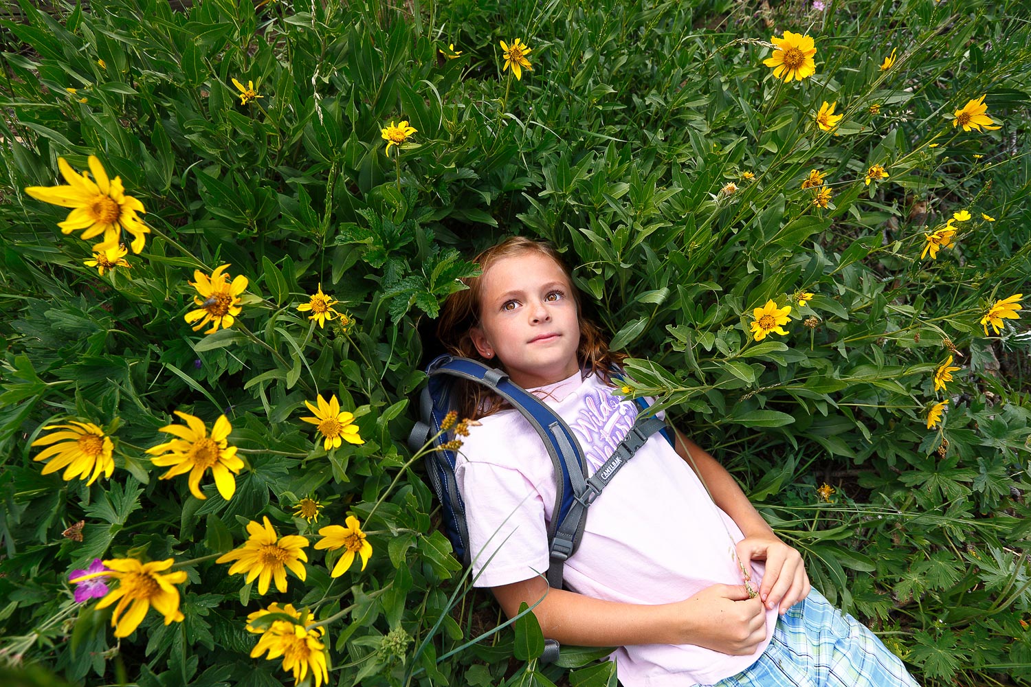Girl Laying in Wildflowers