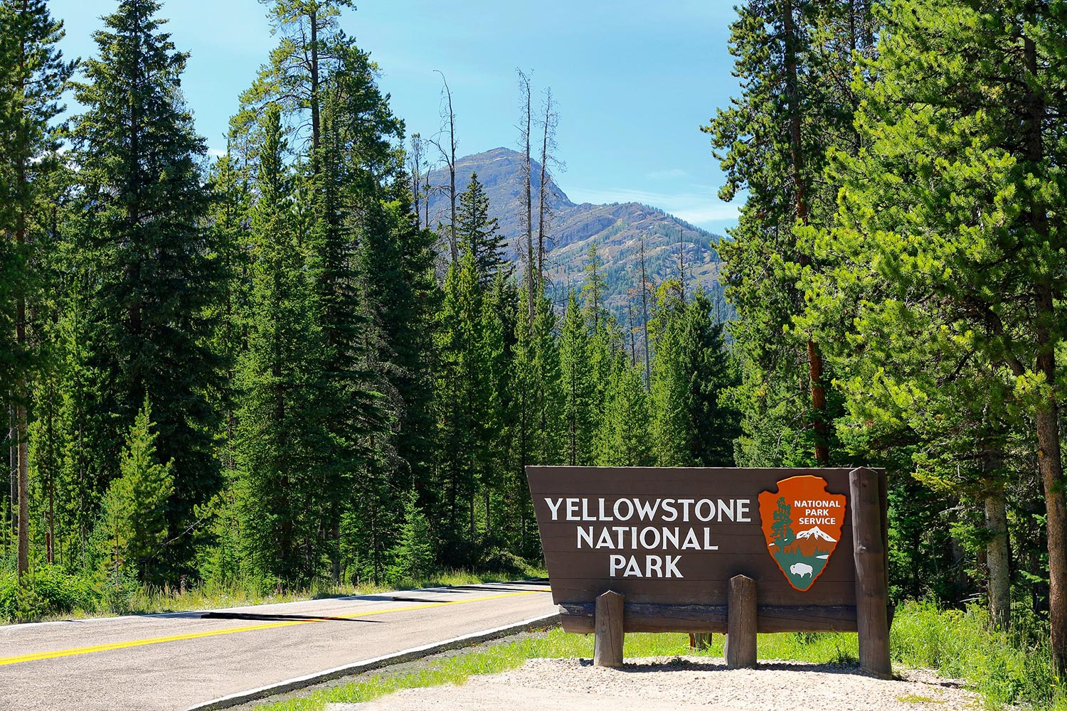 Yellowstone Northeast Entrance