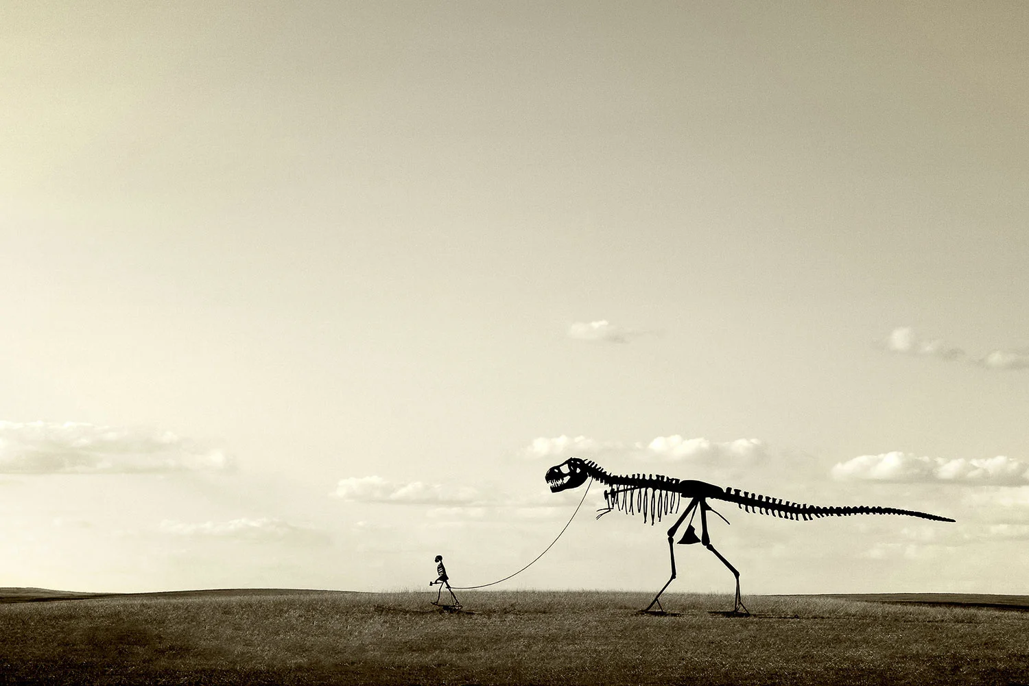 Evolution
