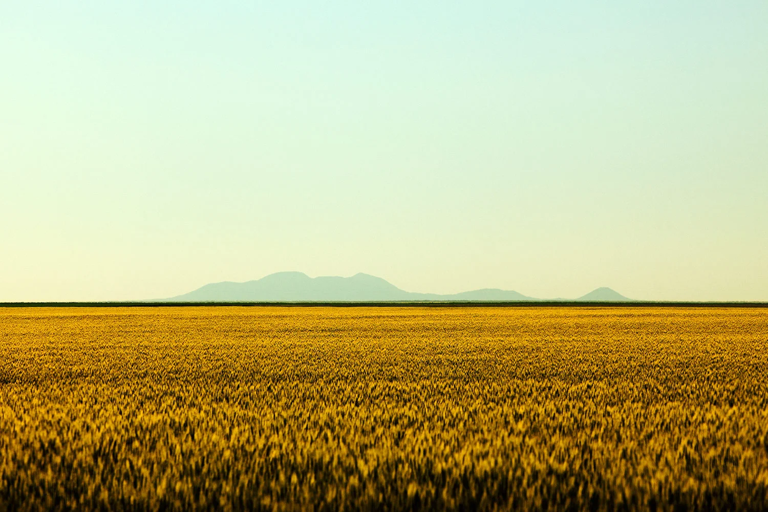 The Hills Beyond