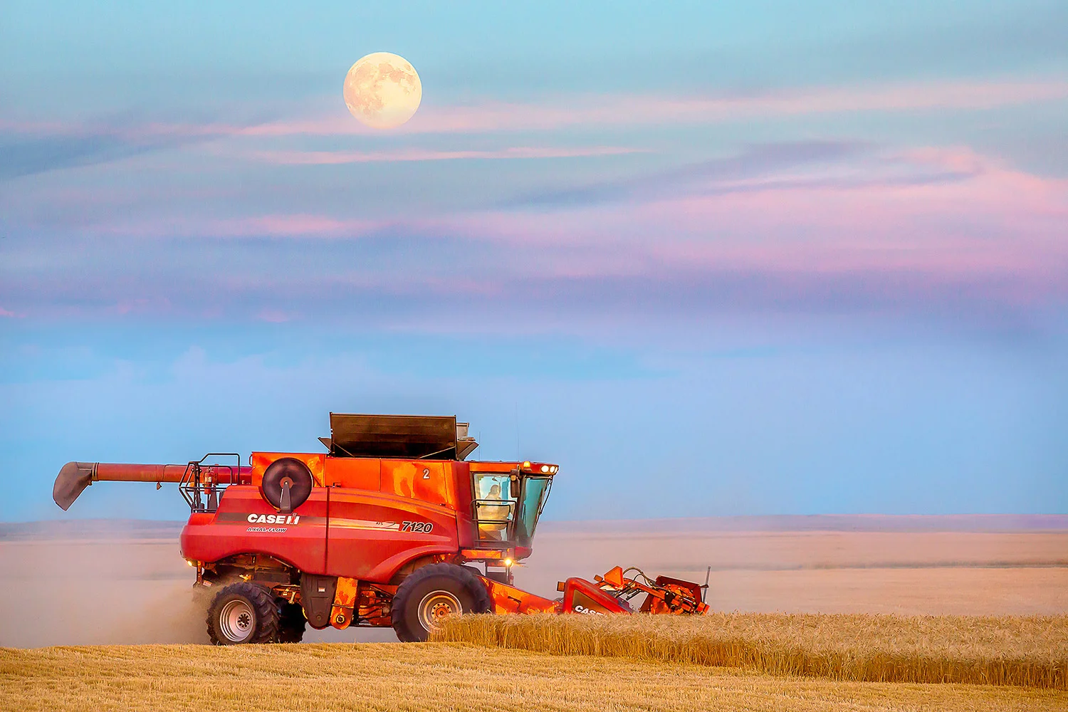 The Super Moon rises over the wheat fields as farmers work late cutting wheat north of Havre, Montana. → Buy a Print