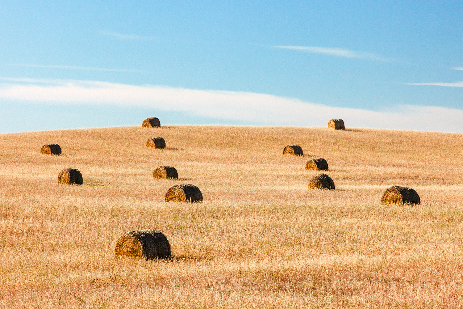 Scattered Bales