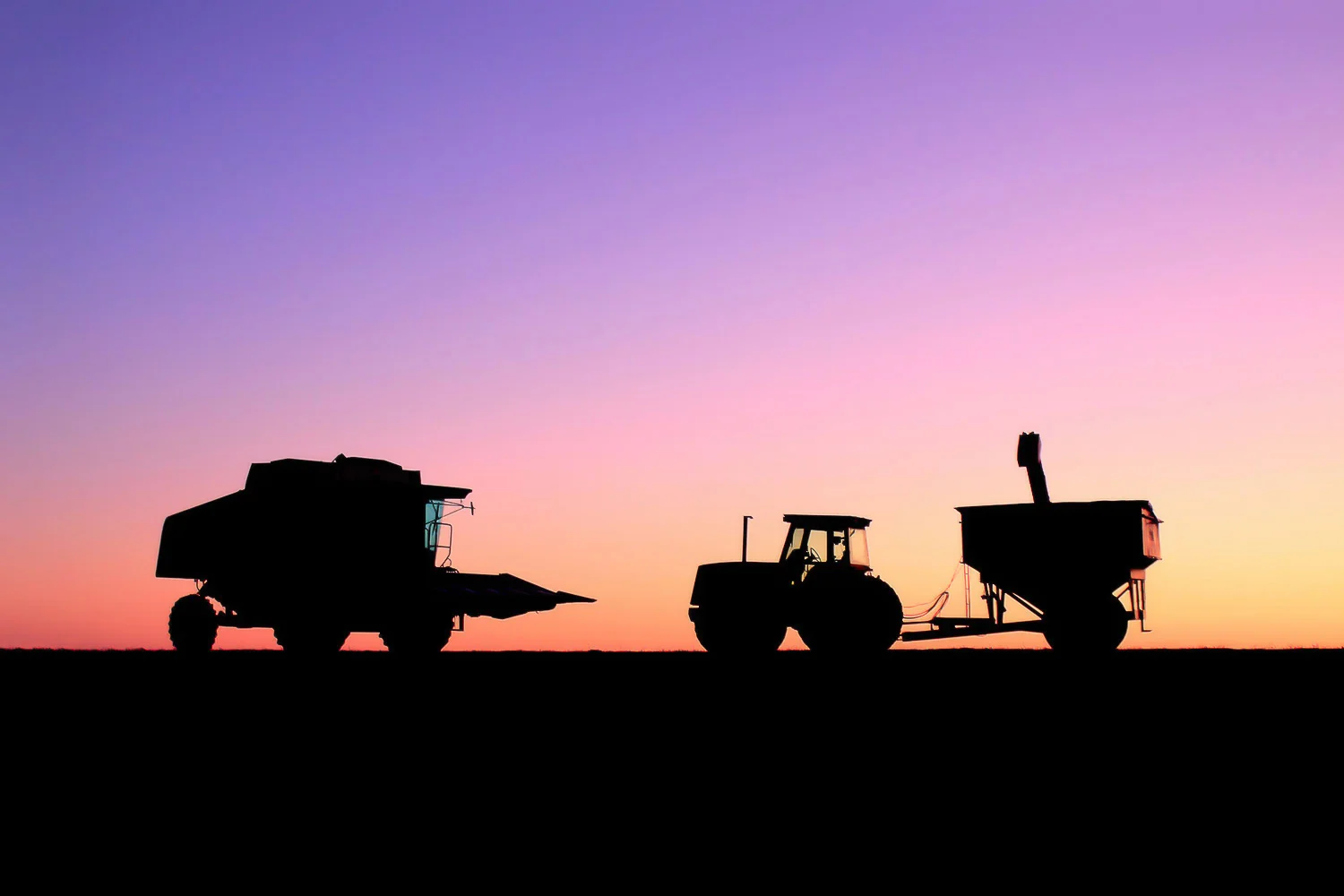 Harvest Sky