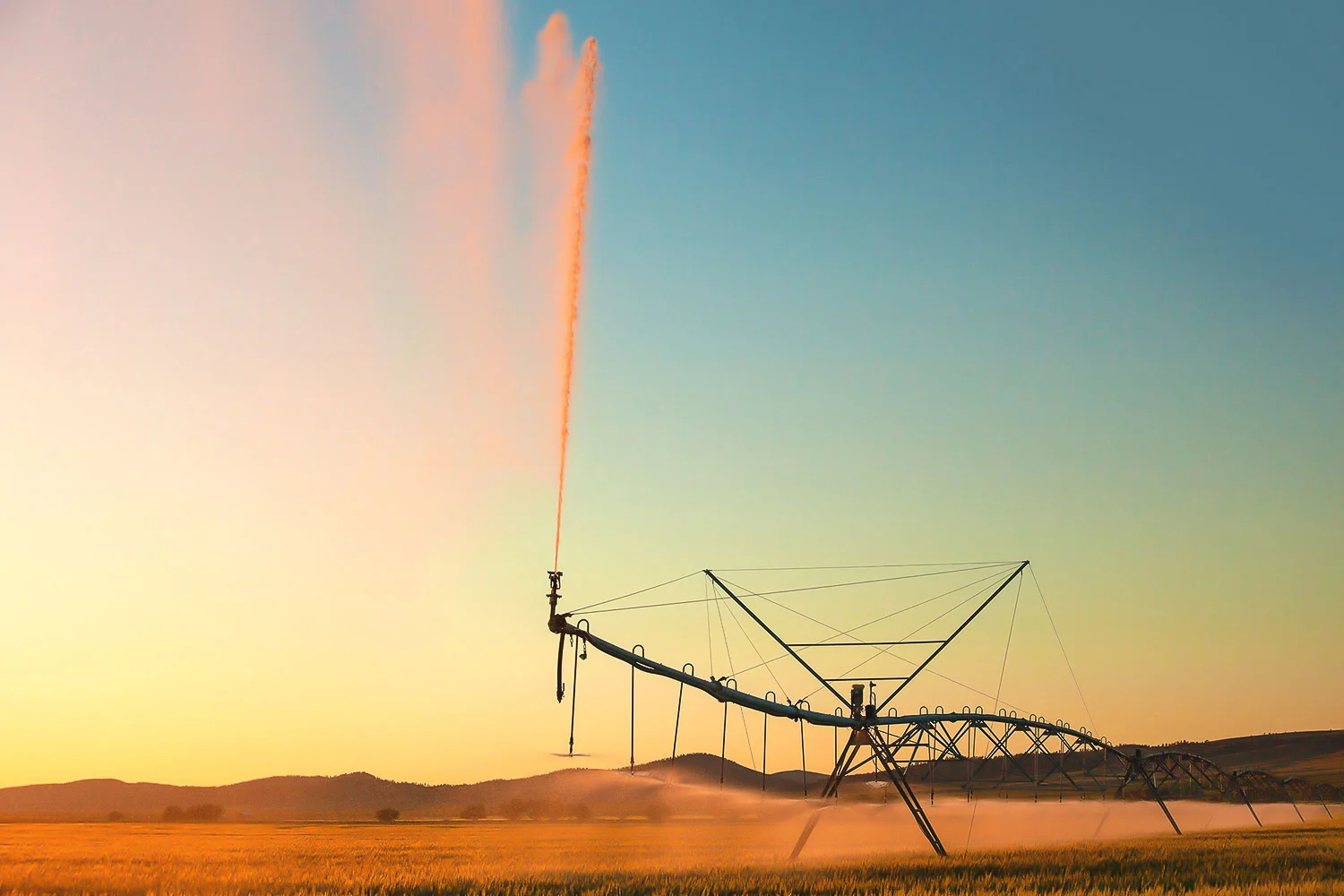 Beautiful Irrigation