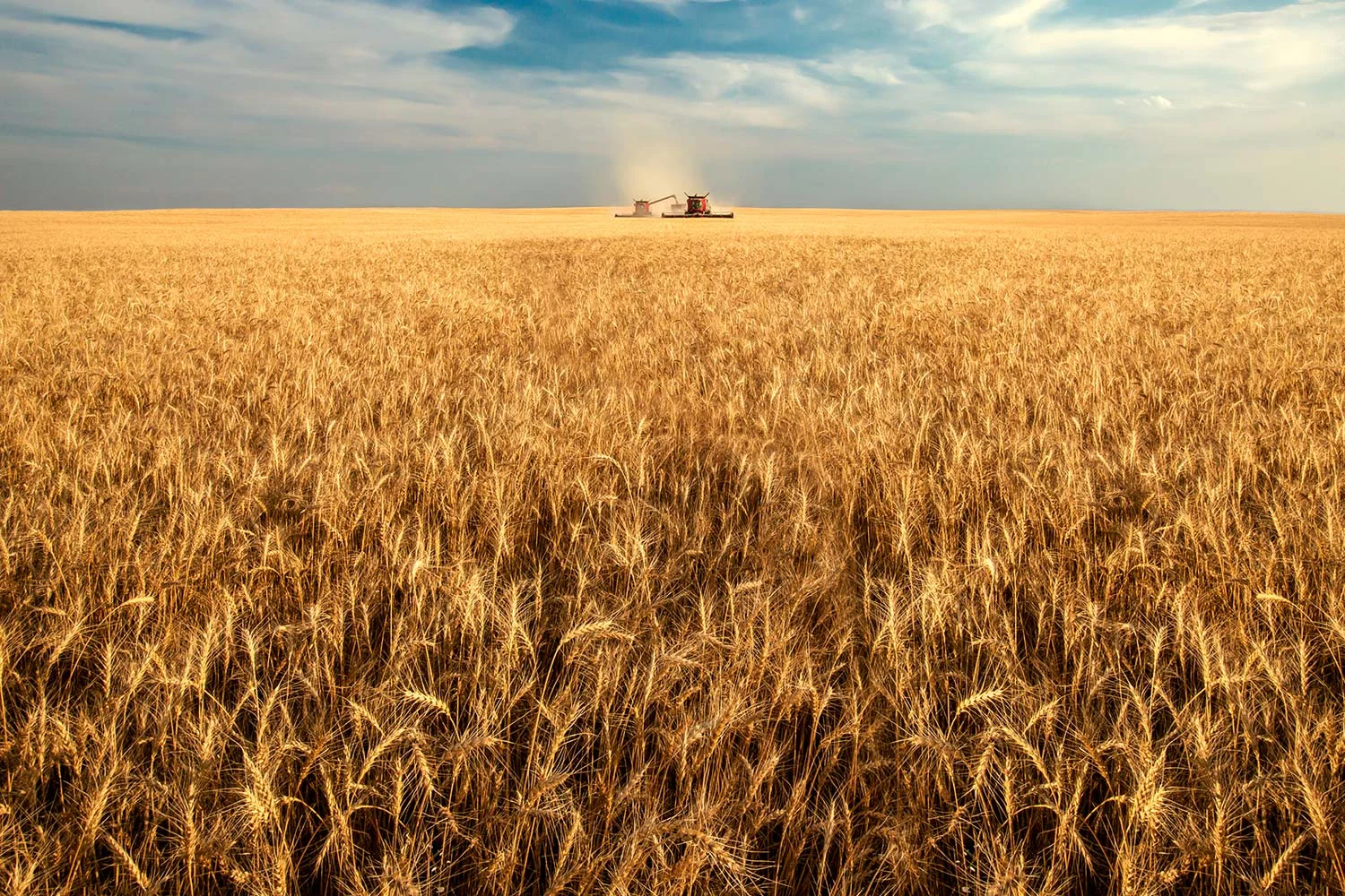 America's Breadbasket
